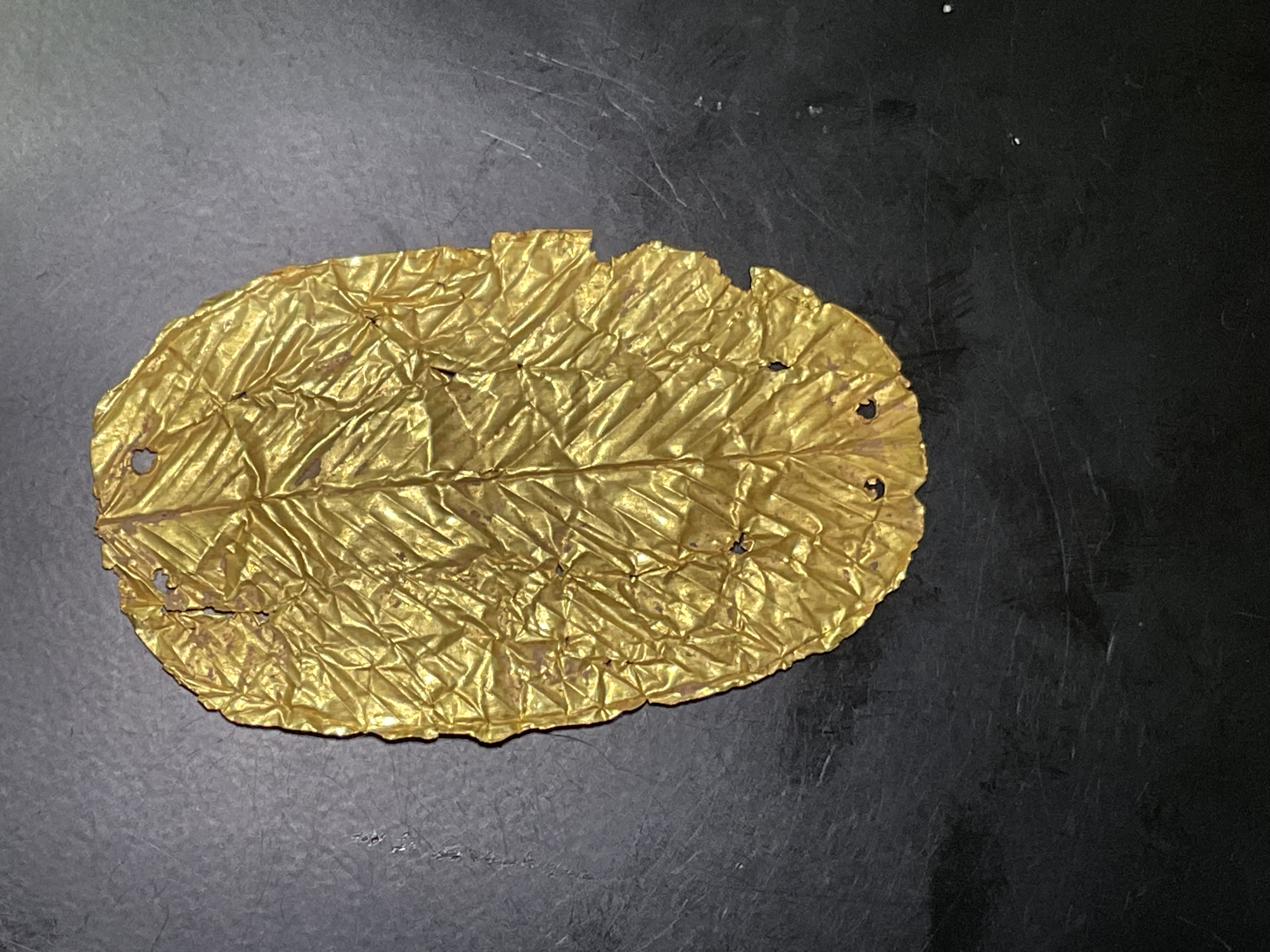 IMG_4535.jpeg