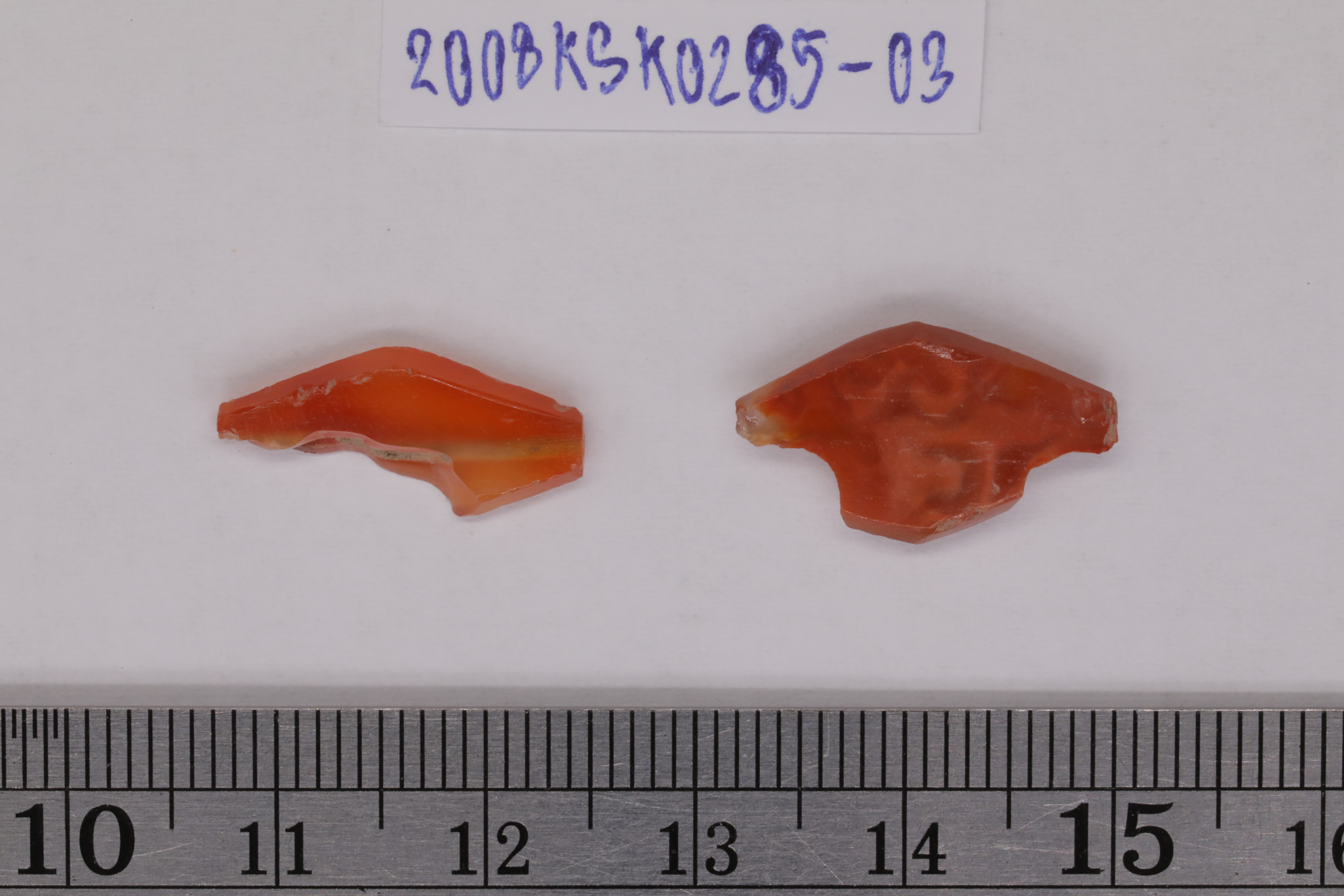 7O2A7837.JPG