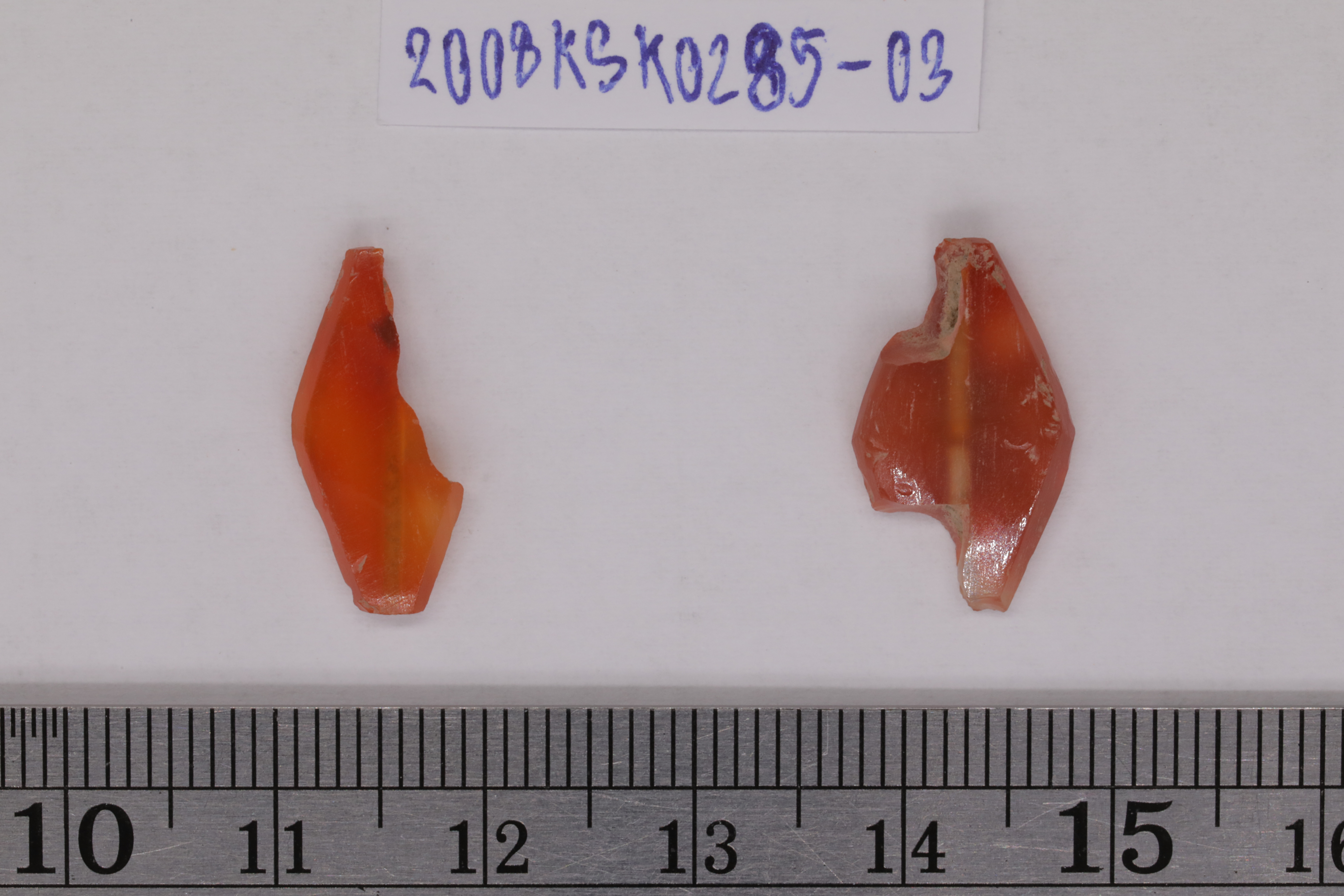 7O2A7838.JPG