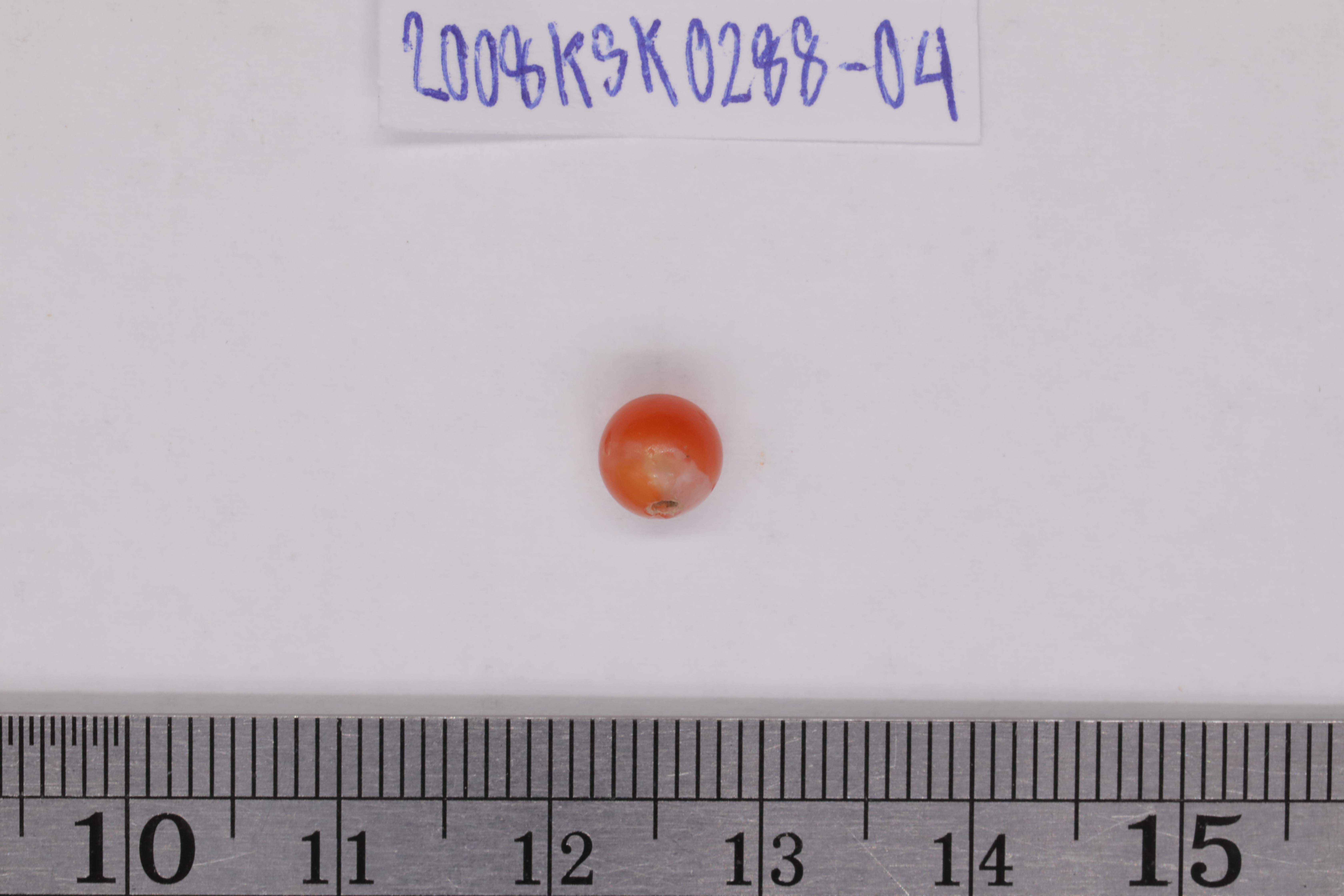 7O2A8027.JPG