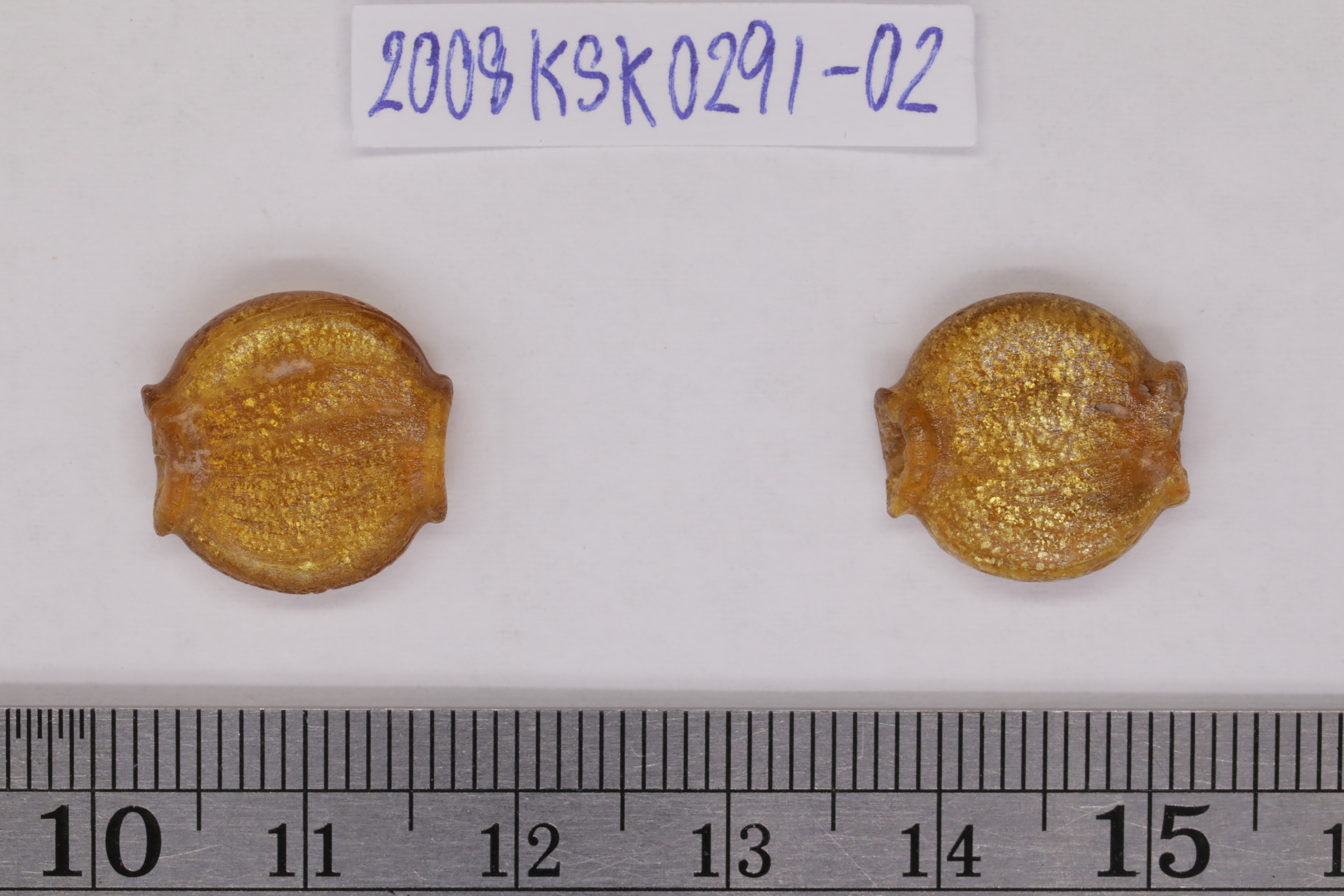 7O2A8131.JPG
