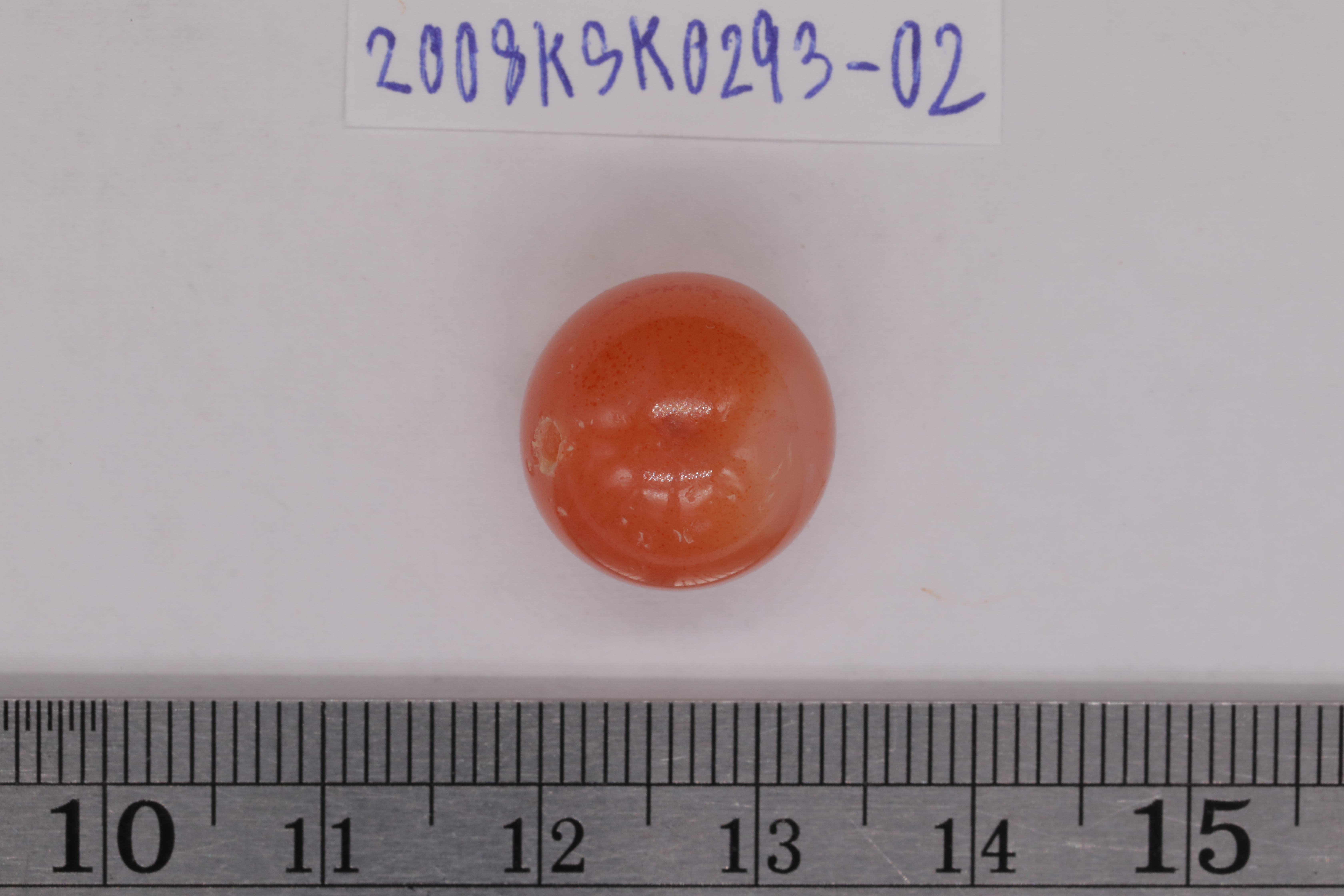7O2A8162.JPG