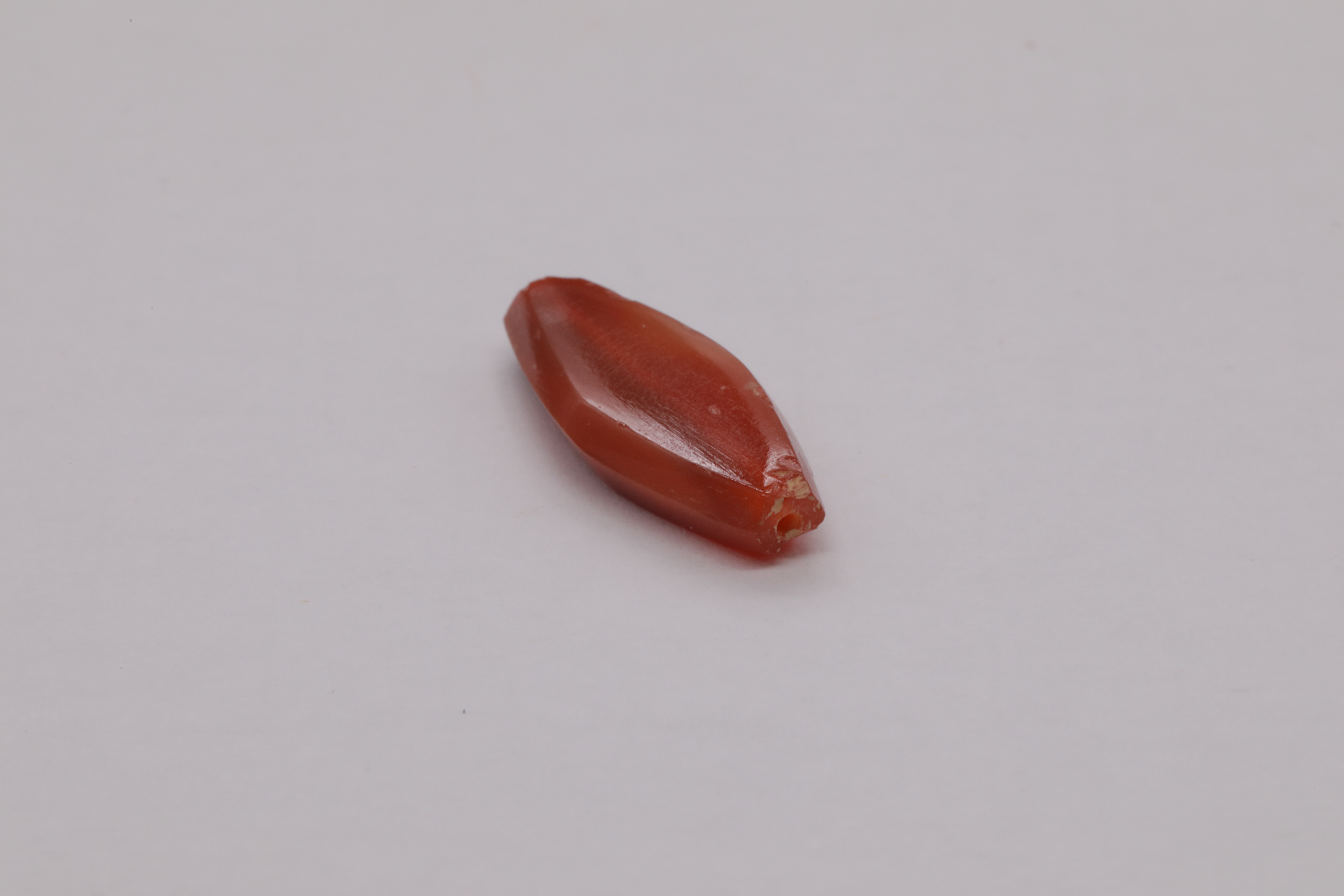 7O2A8170.JPG