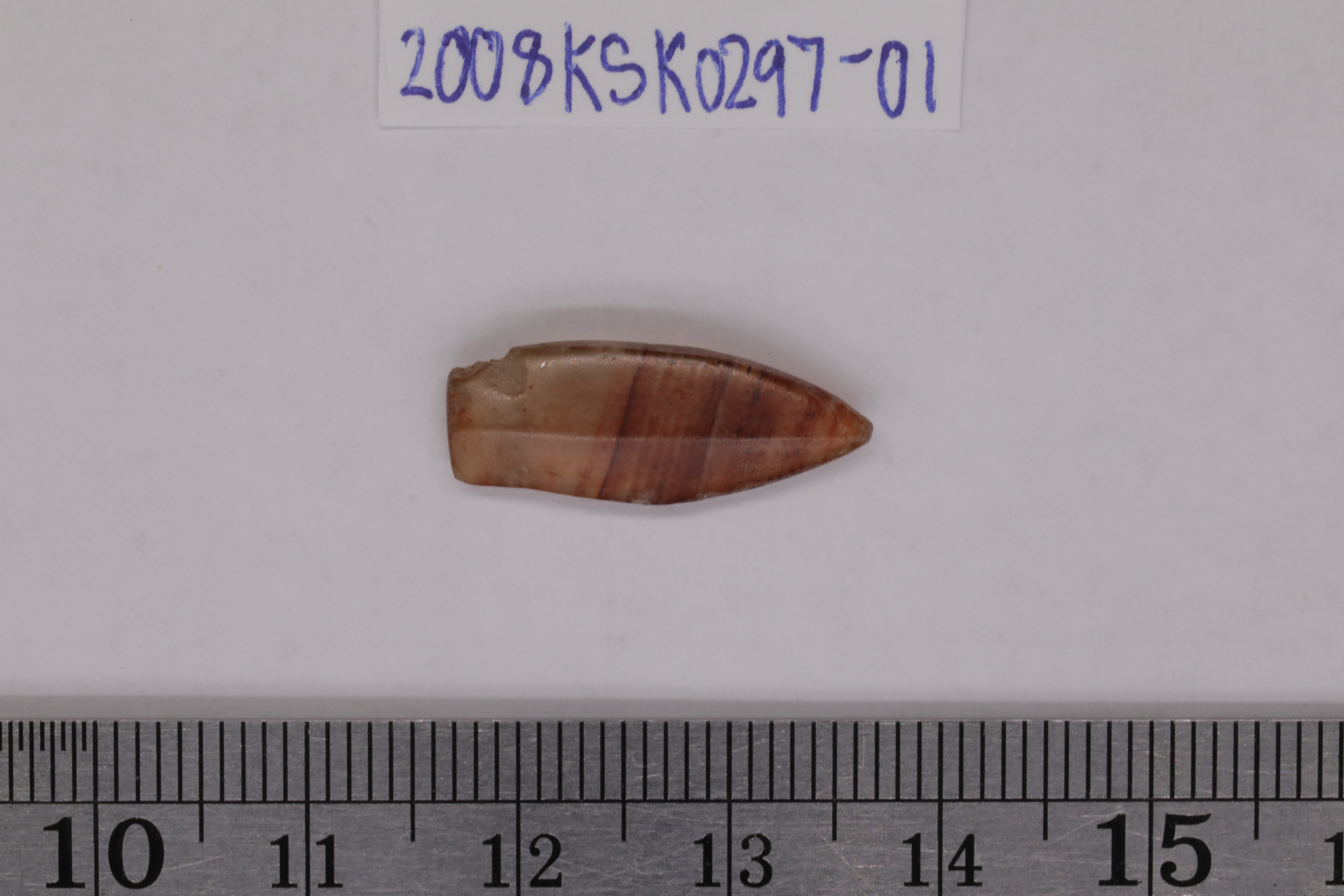 7O2A8099.JPG