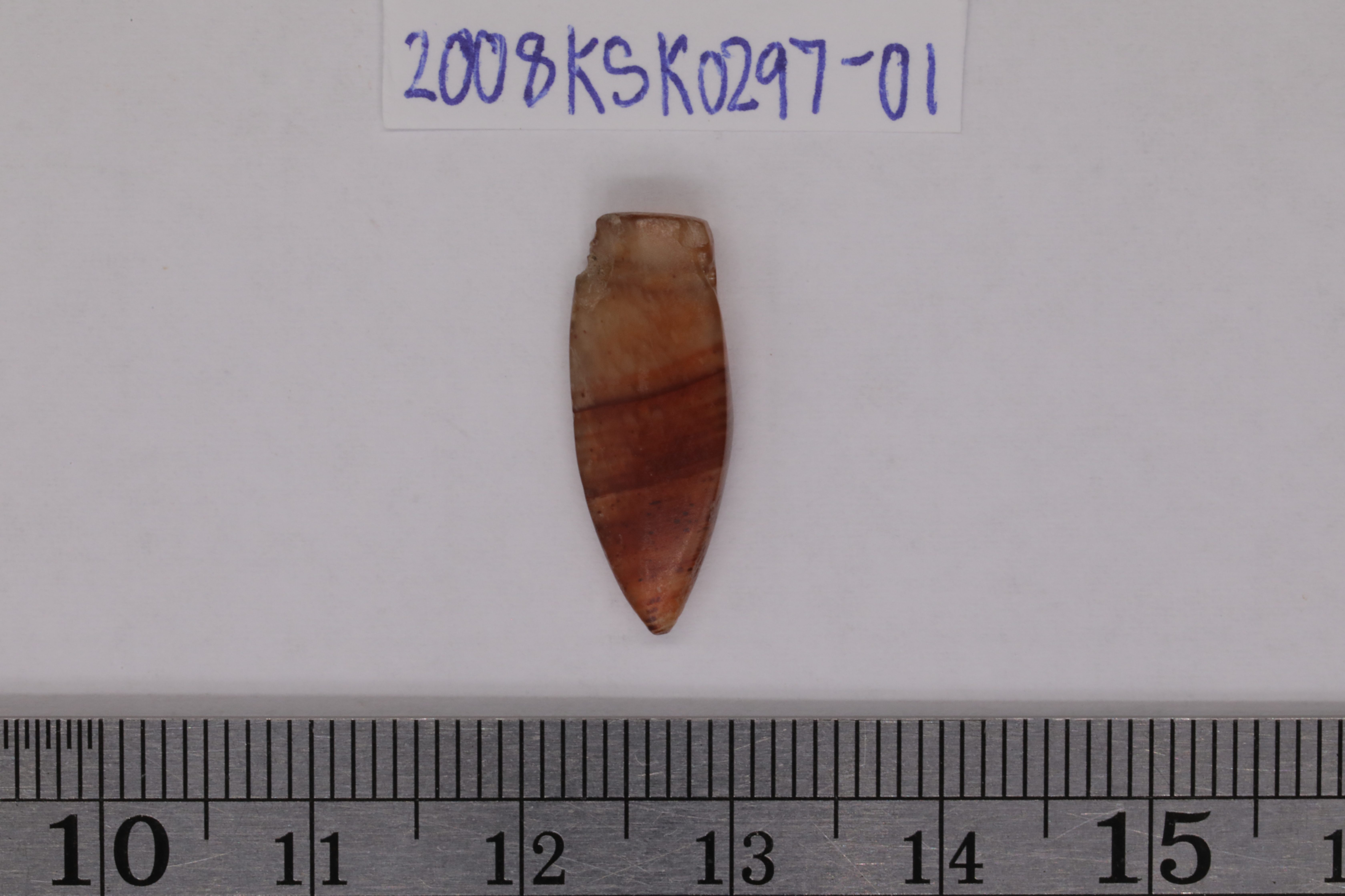 7O2A8100.JPG
