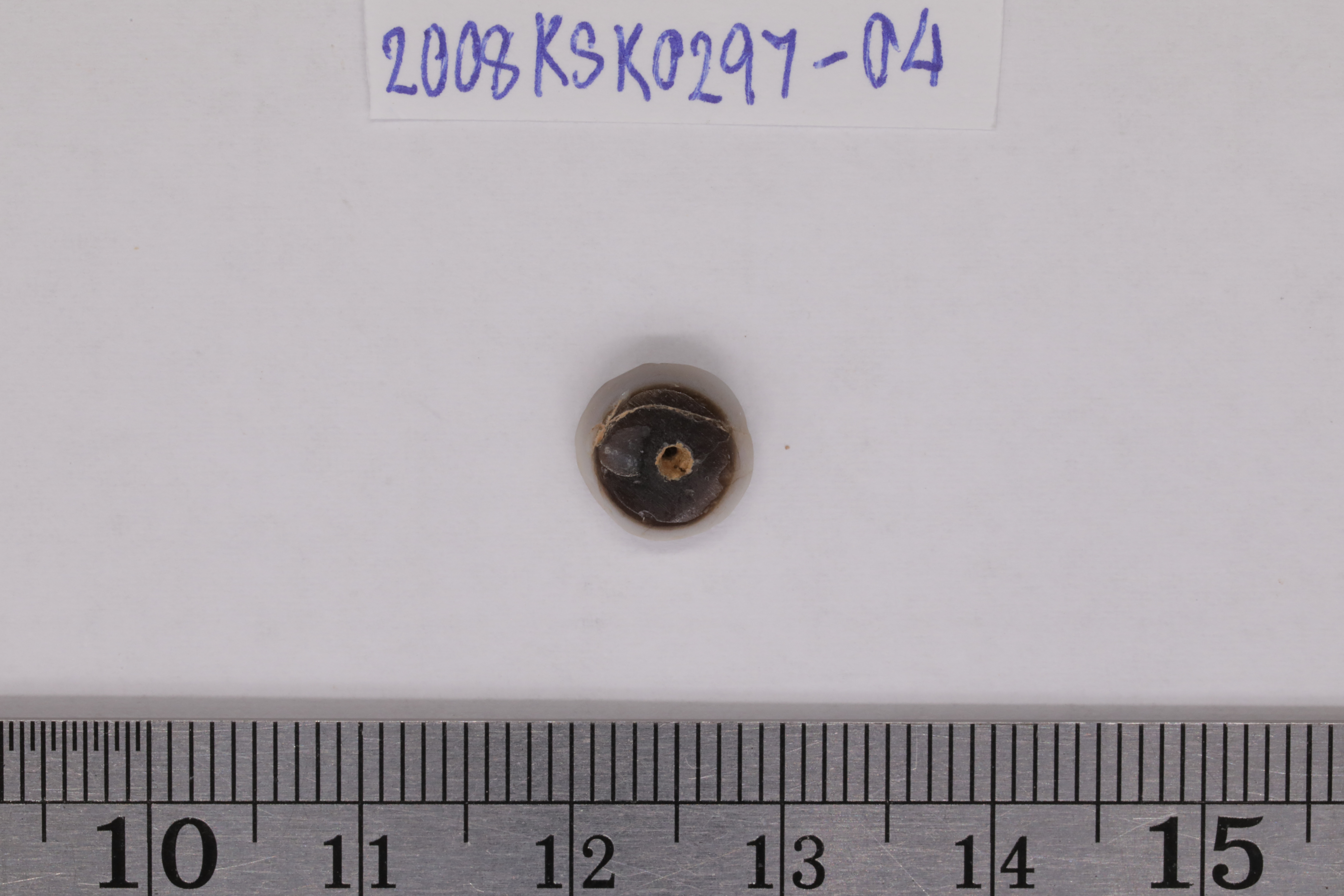 7O2A8116.JPG