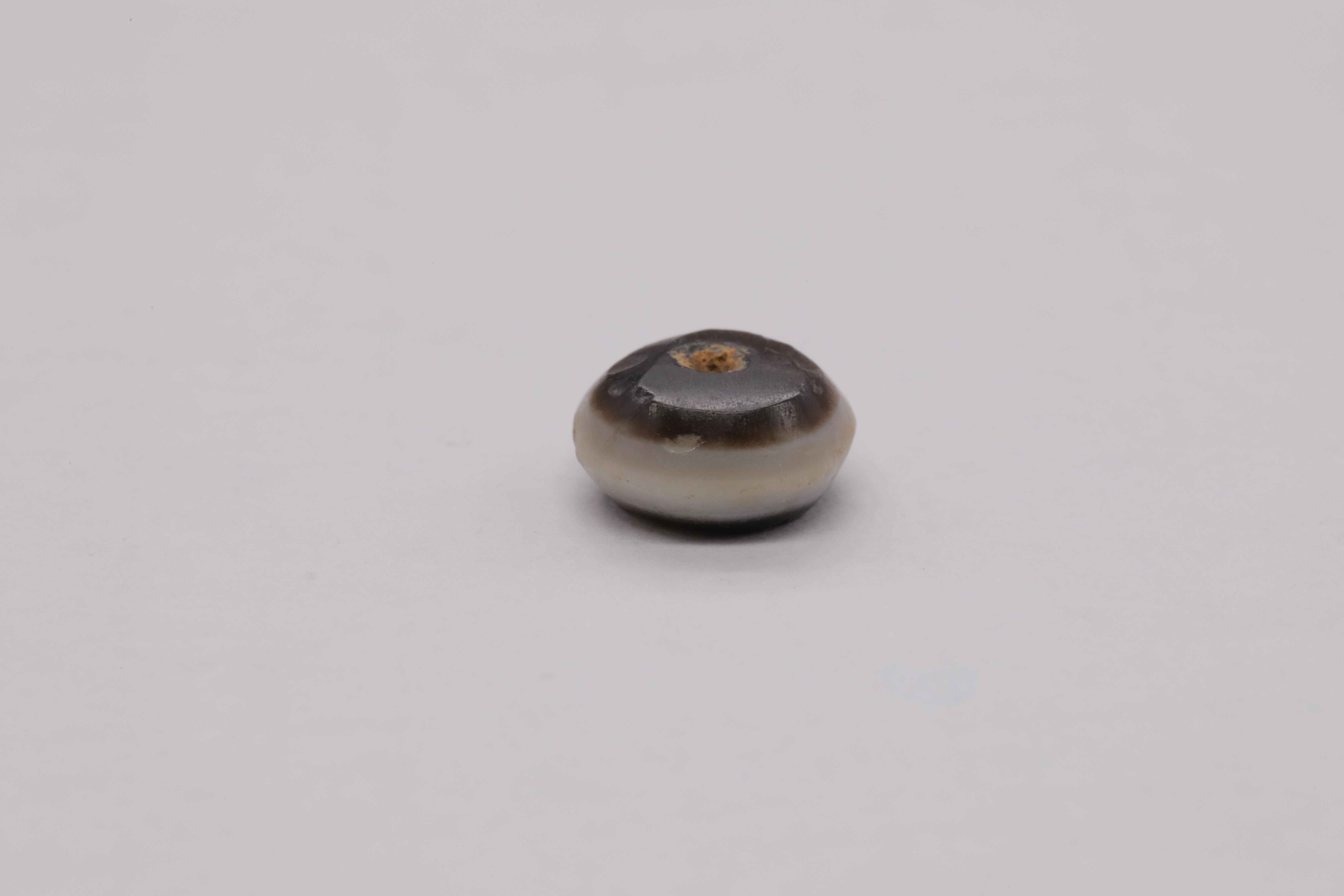 7O2A8117.JPG