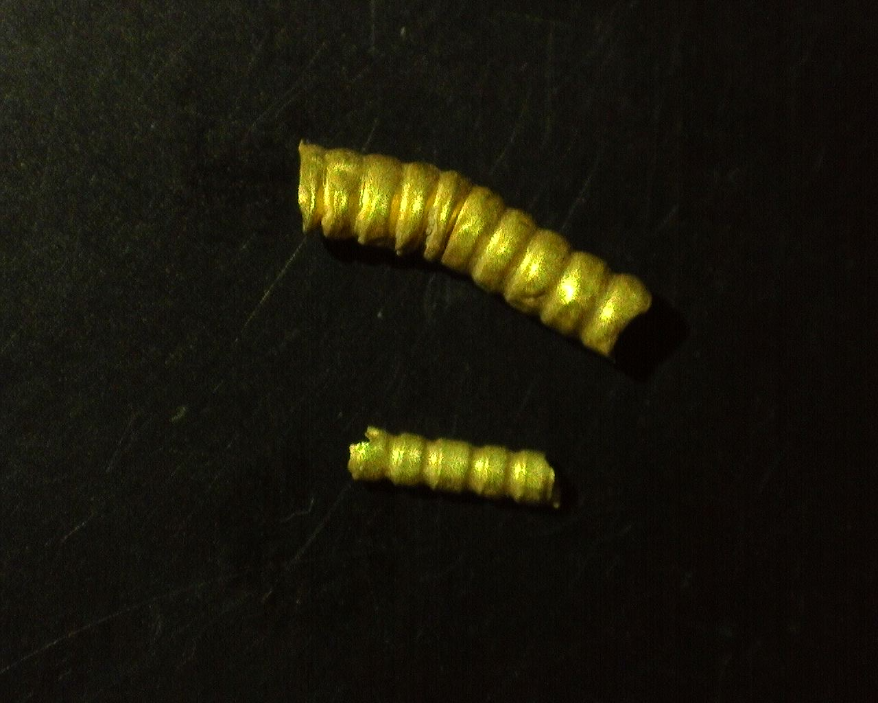 25670721_154131134.png