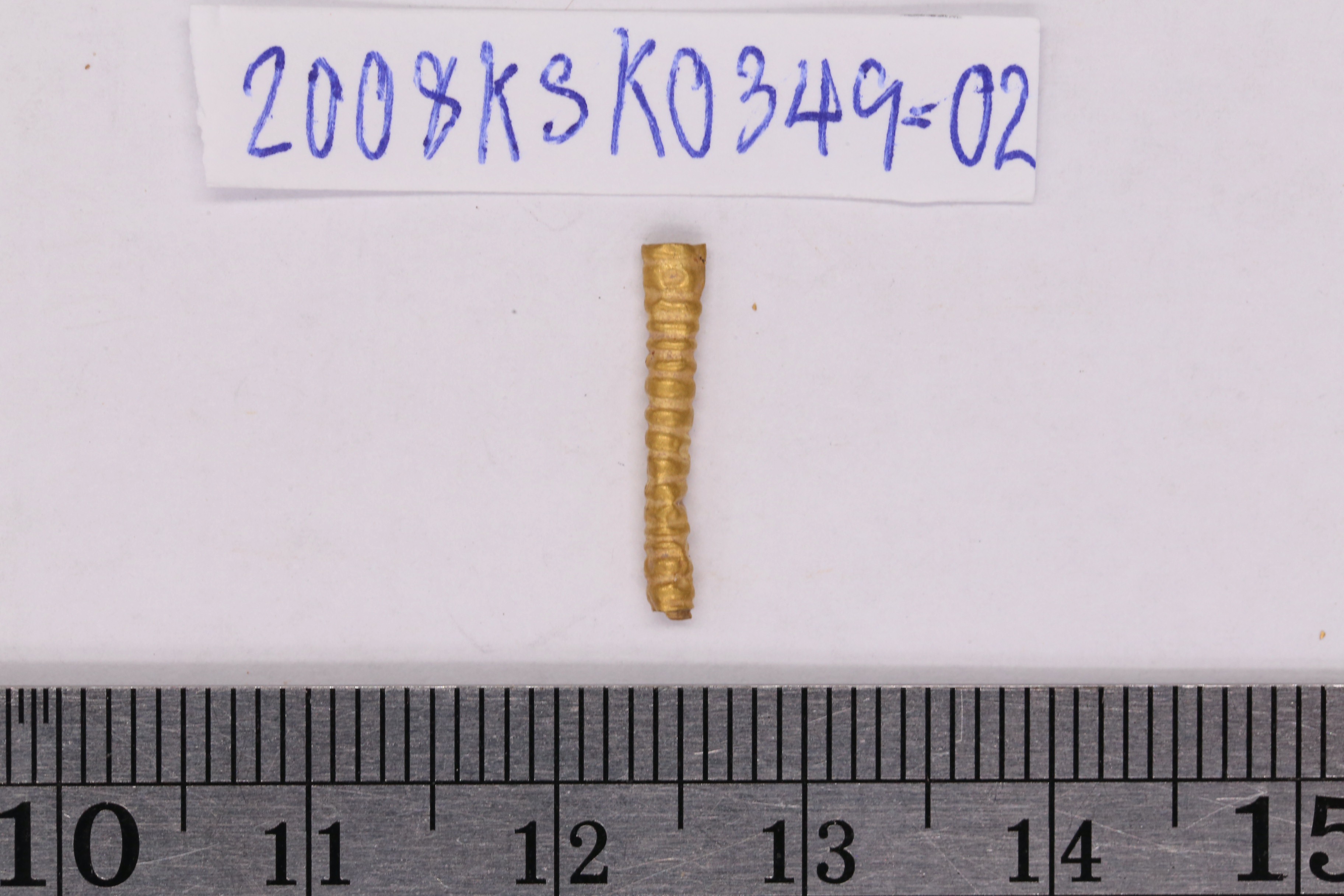 1KSK_GOLD317.jpeg