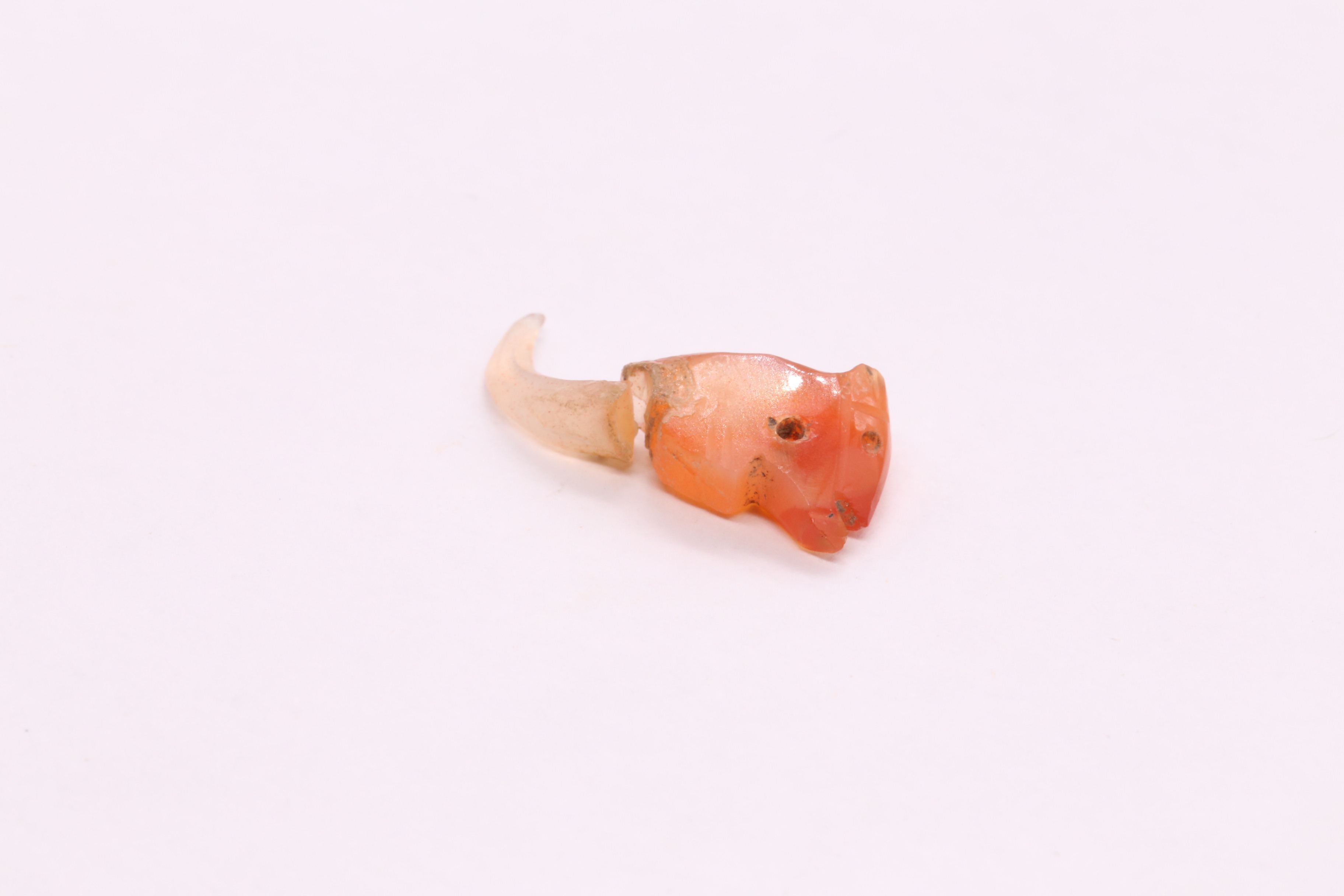 IMG_1051.JPG