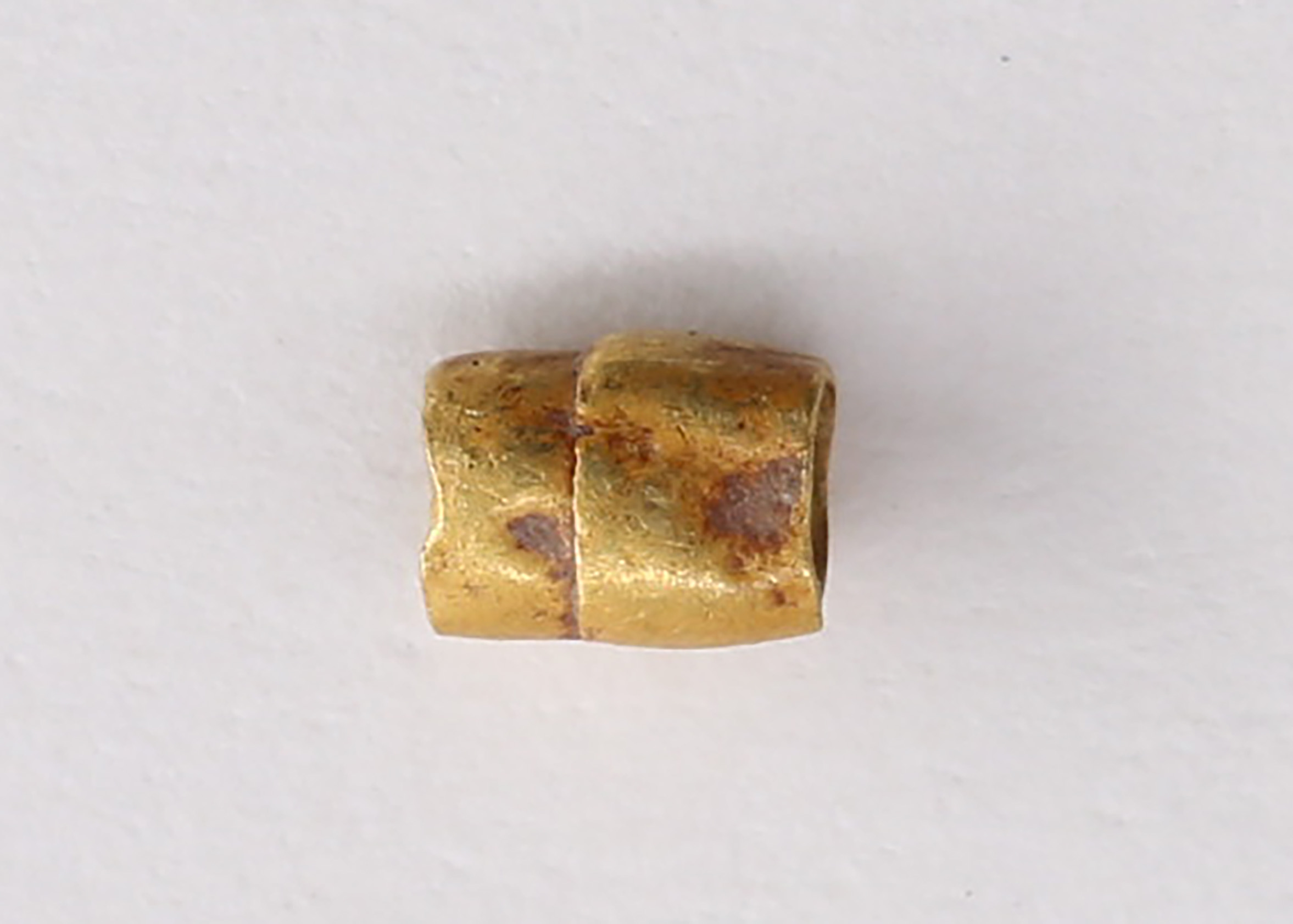 AIMG_0869.jpg