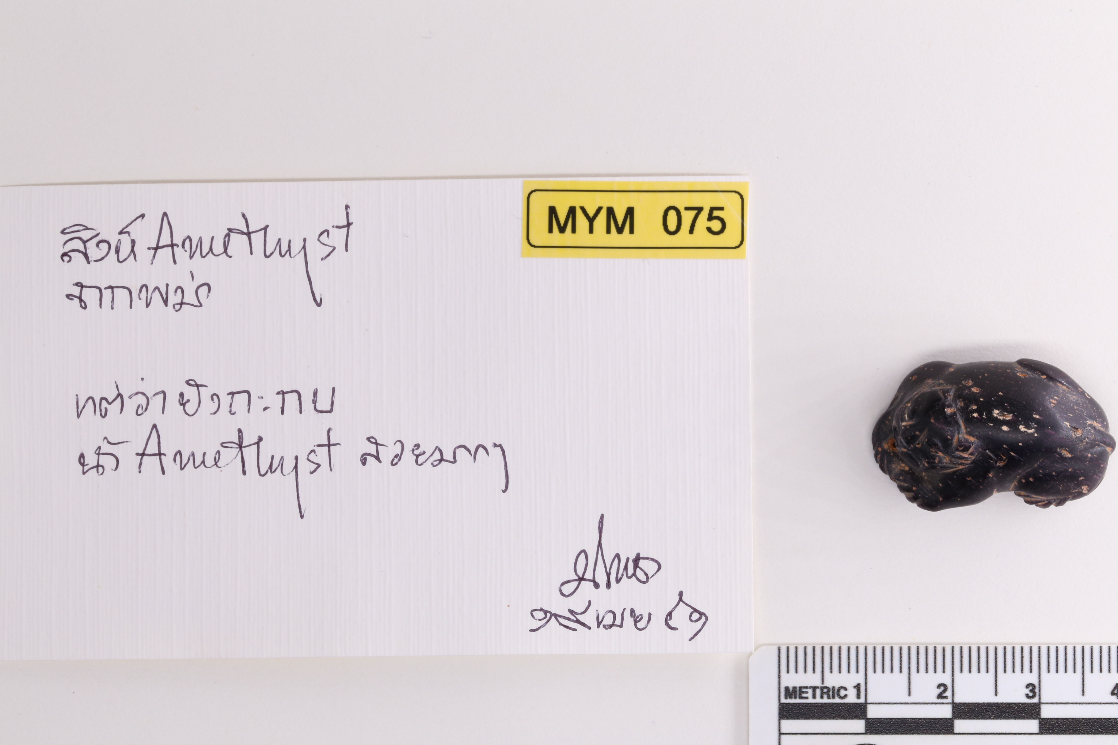 IMG_9307.JPG