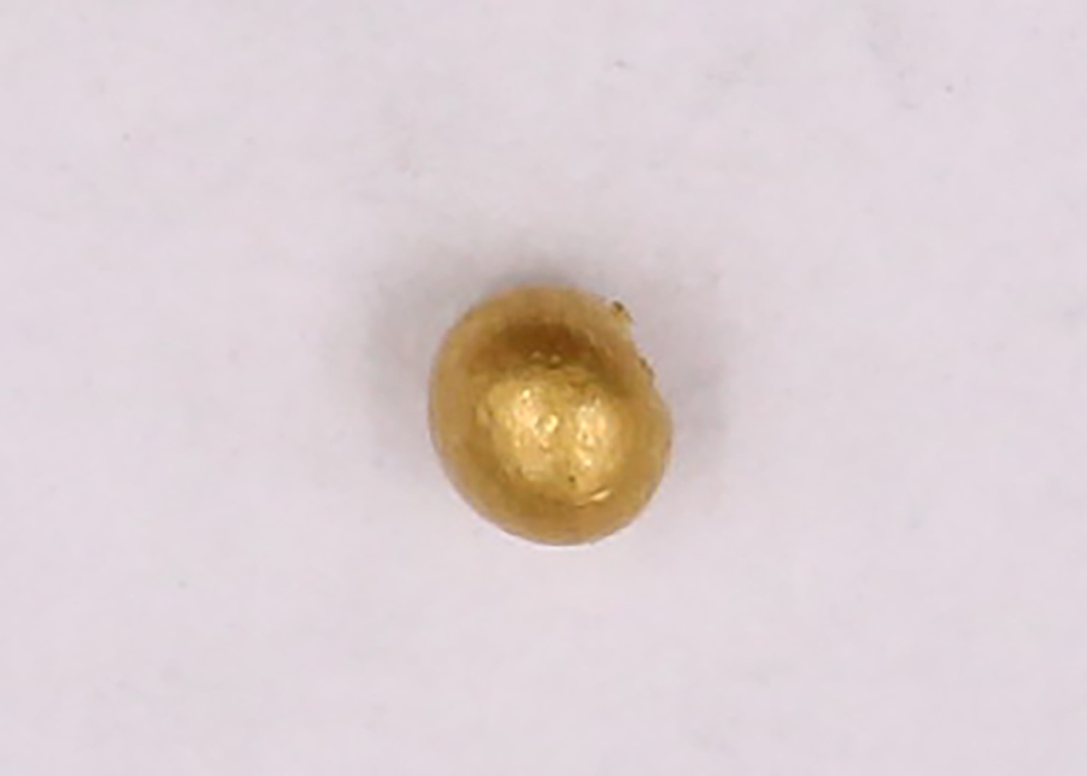 AIMG_4095.jpg