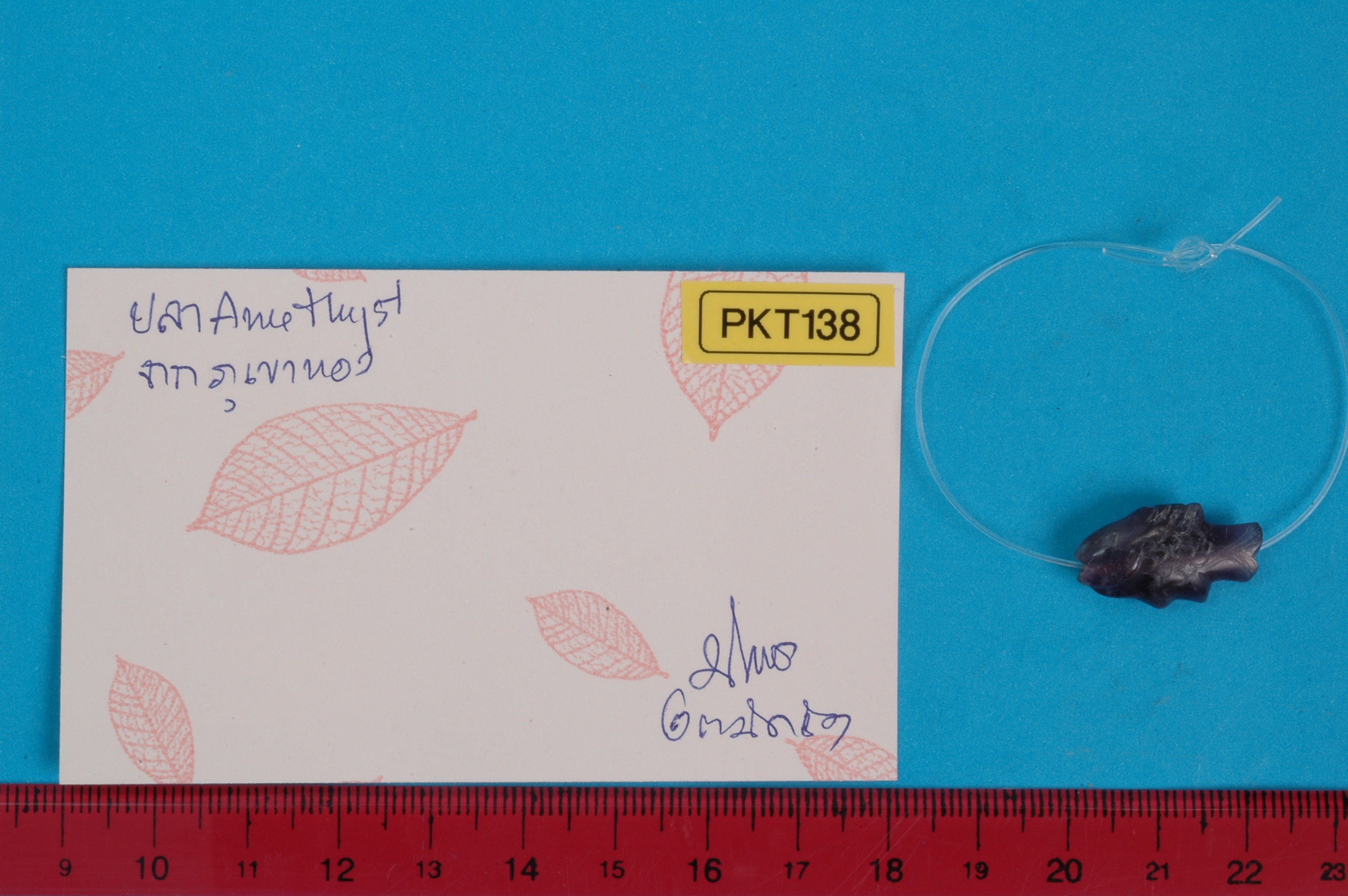 1PKT_138.jpg