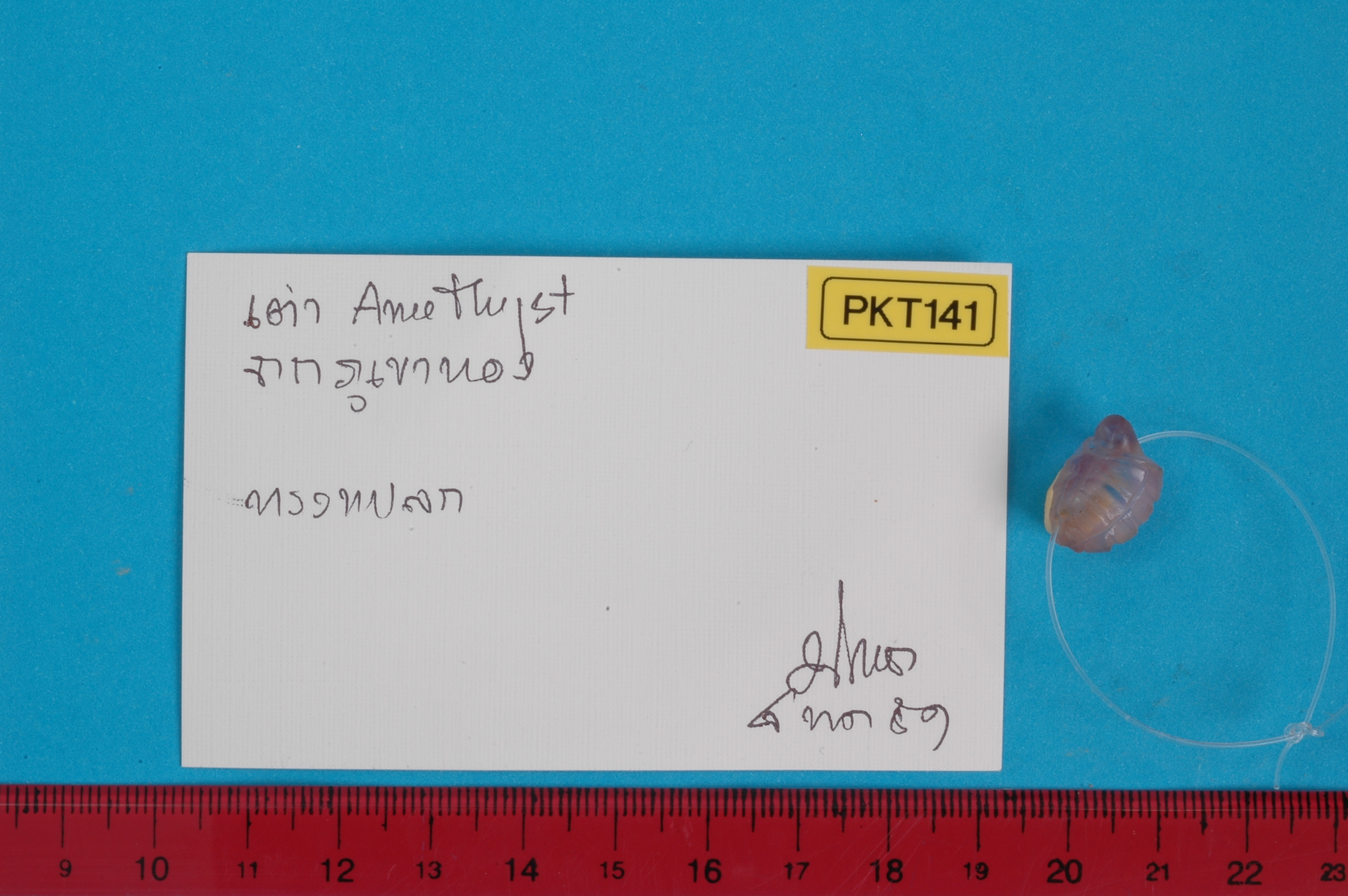 PKT_141.jpg