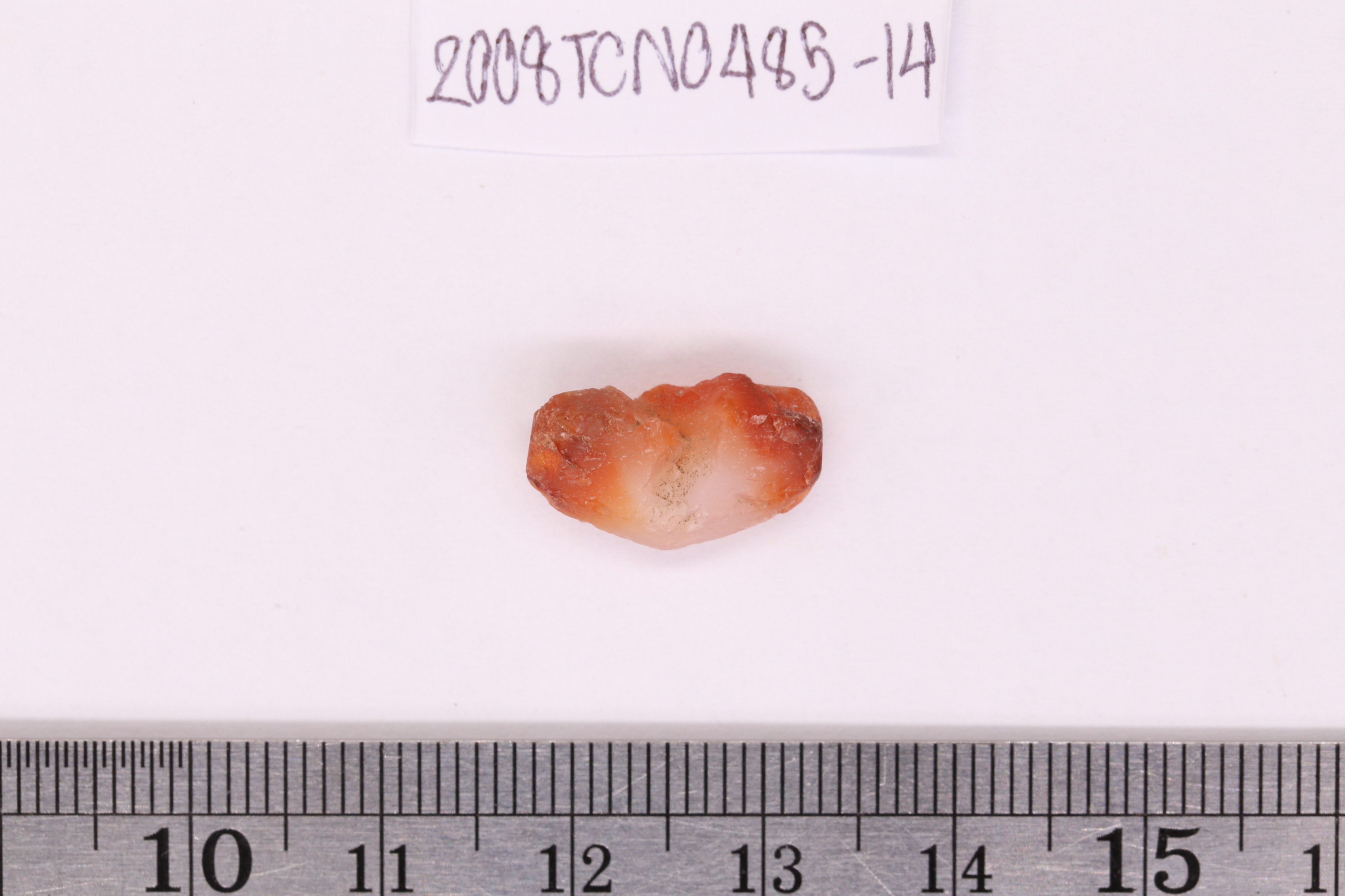 IMG_3985.JPG