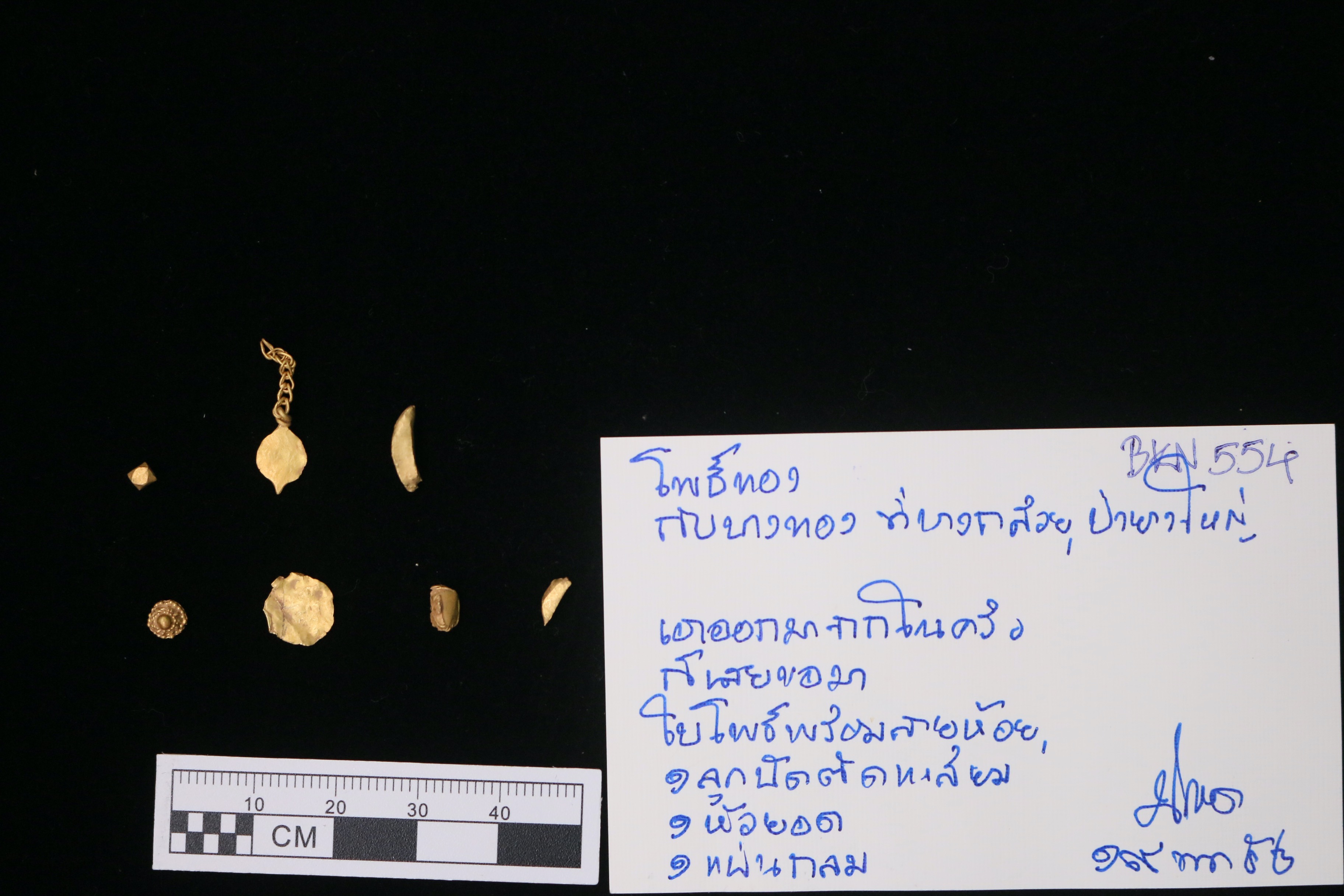 IMG_0251_1.jpeg