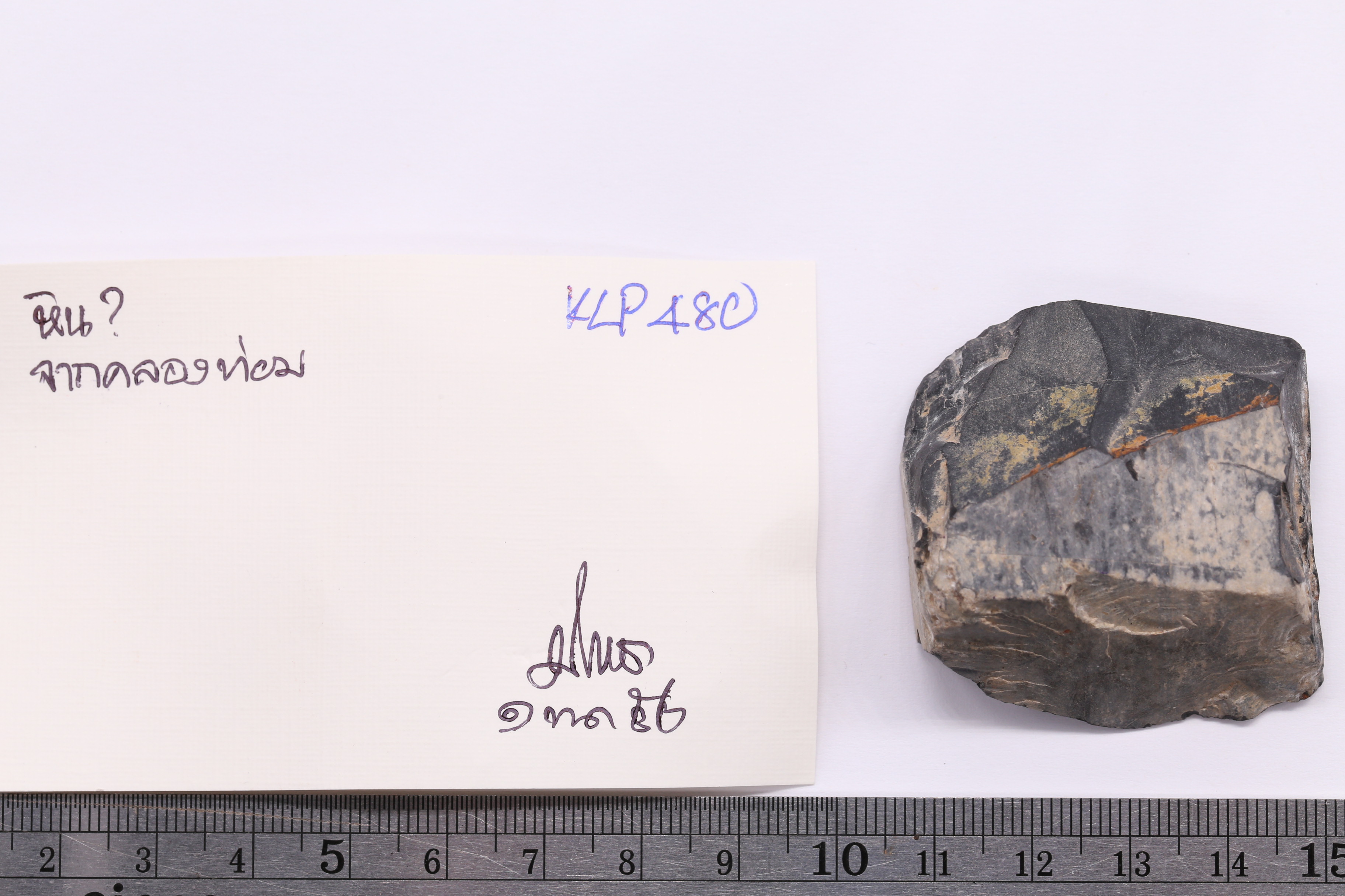 IMG_5502.JPG