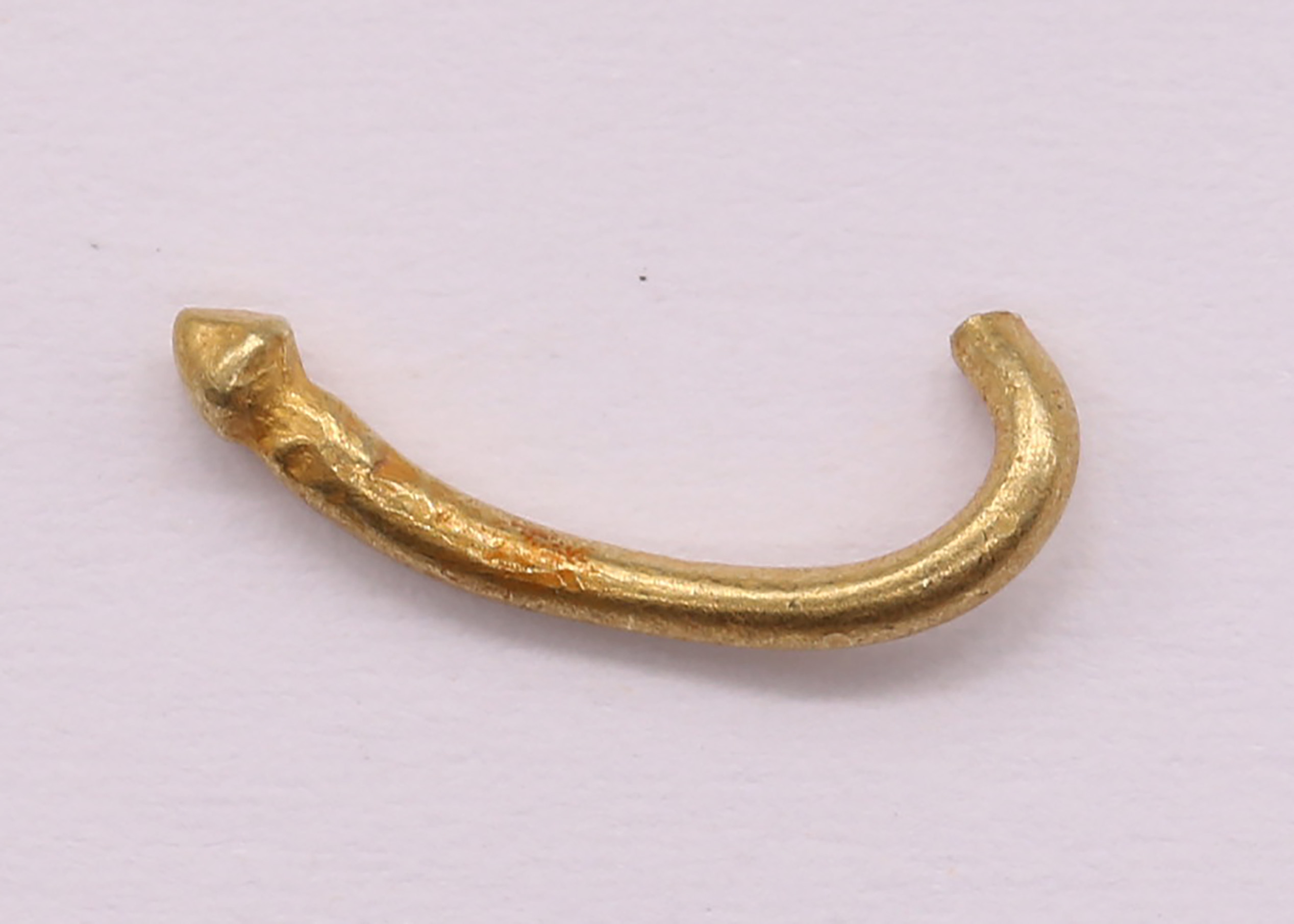 AIMG_5555.jpg