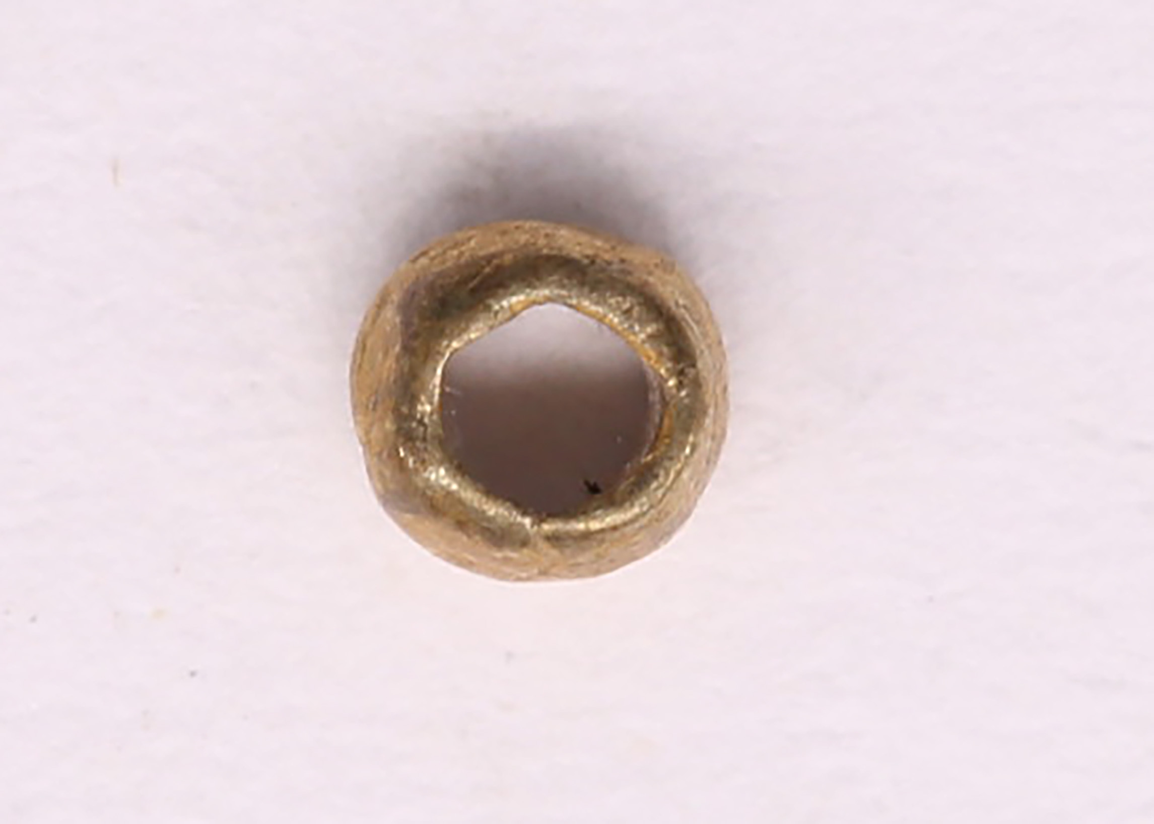 AIMG_5906.jpg