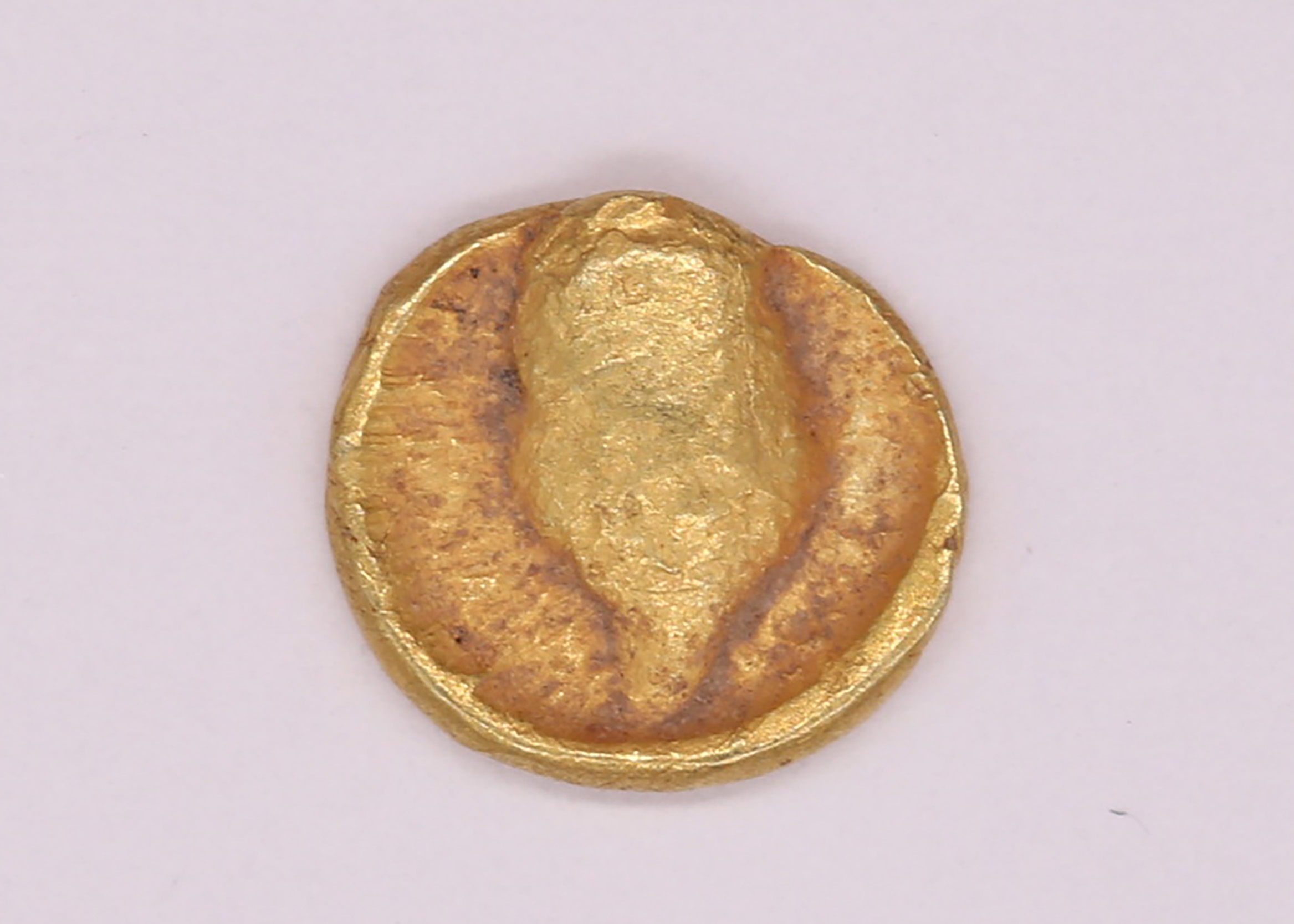 AIMG_6178.jpg