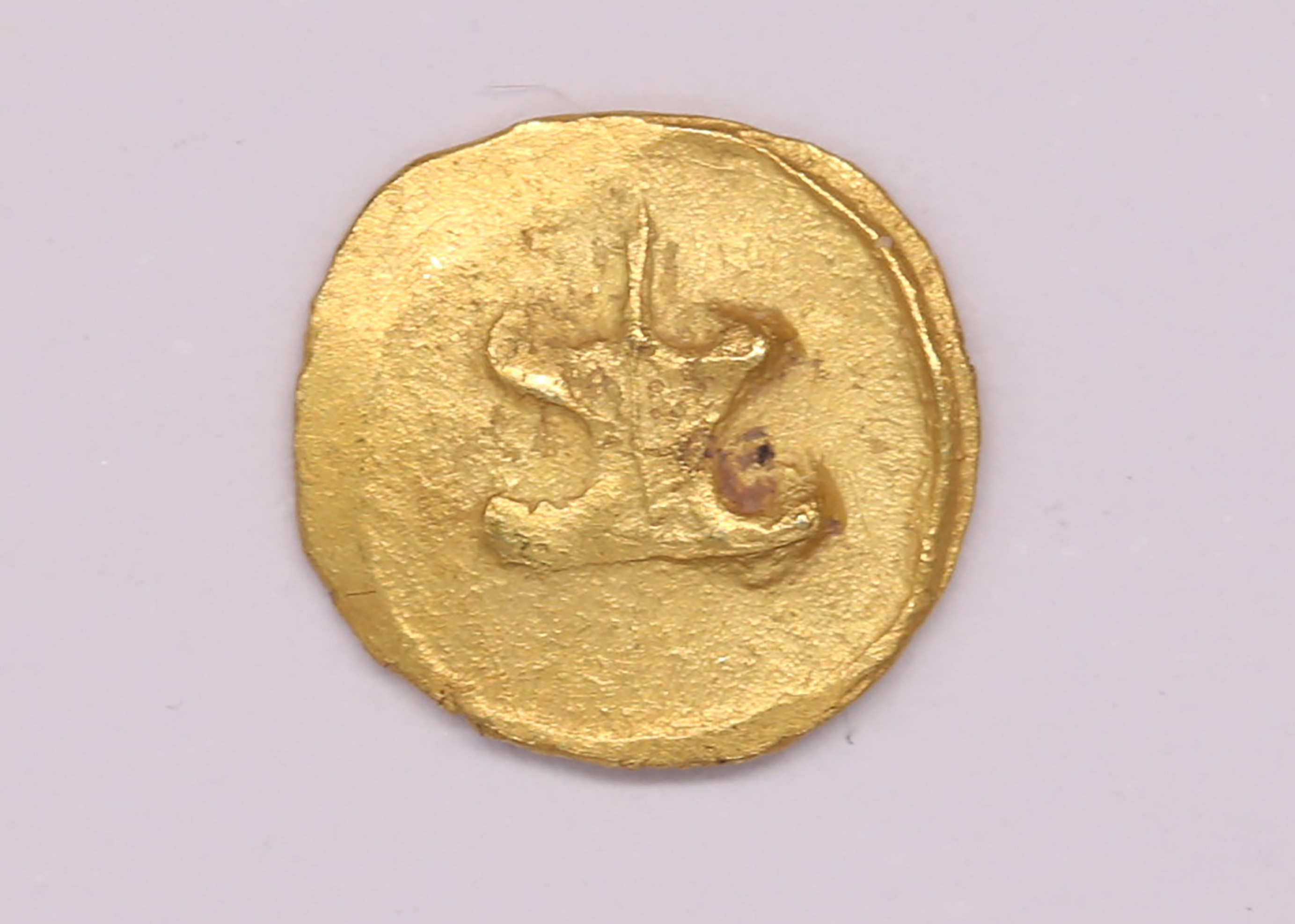 AIMG_6181.jpg
