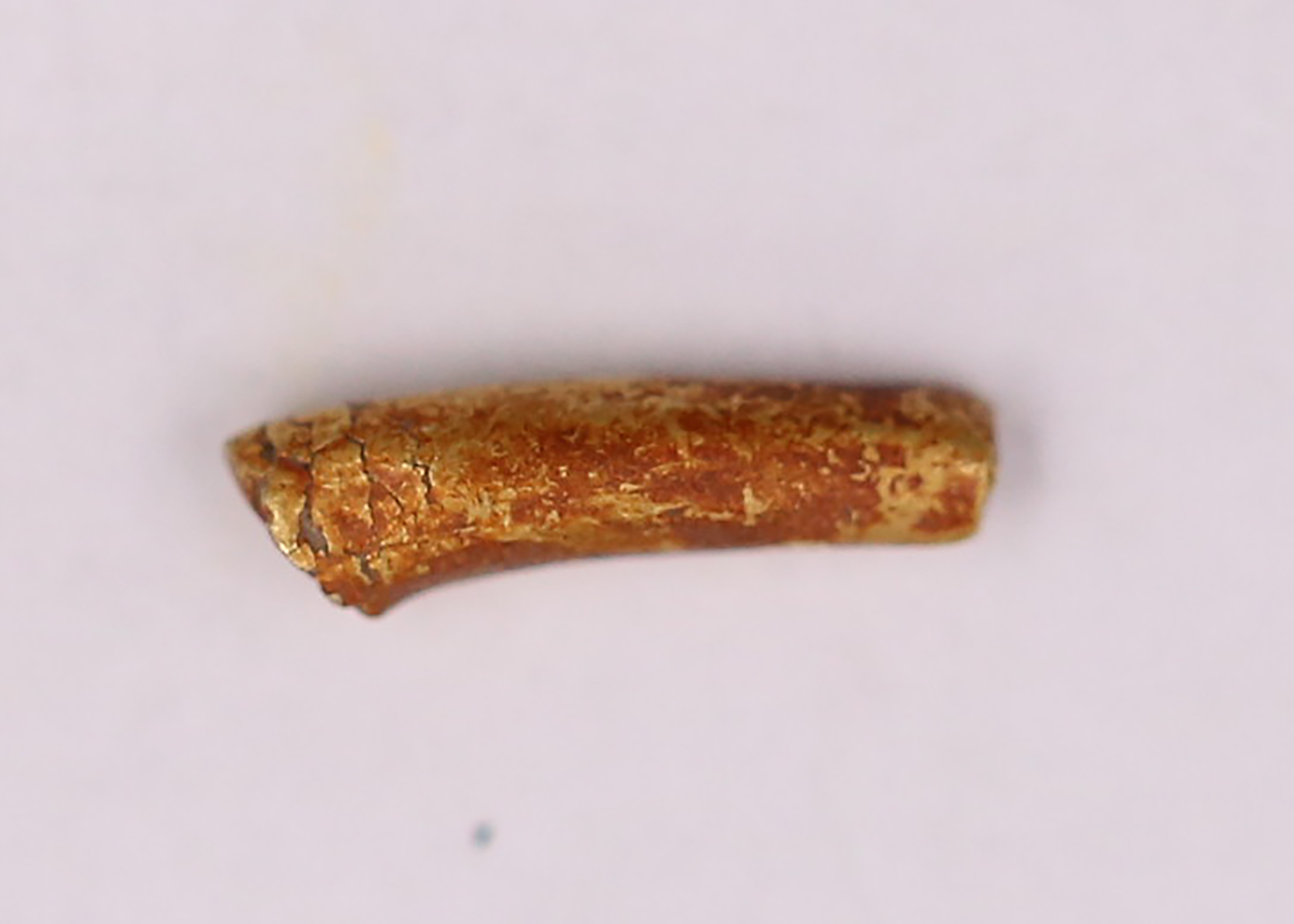 AIMG_3497.jpg