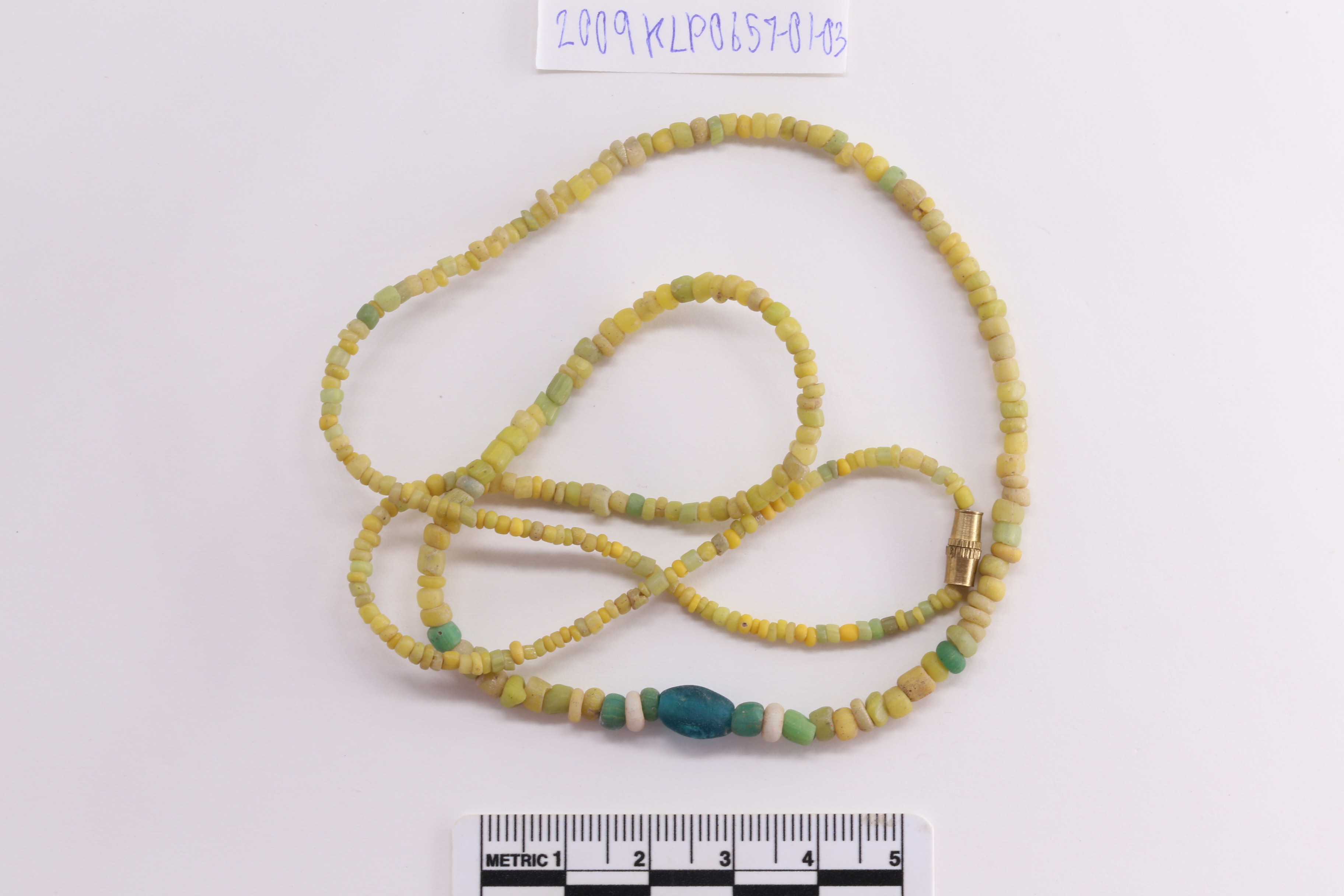 IMG_7867.JPG