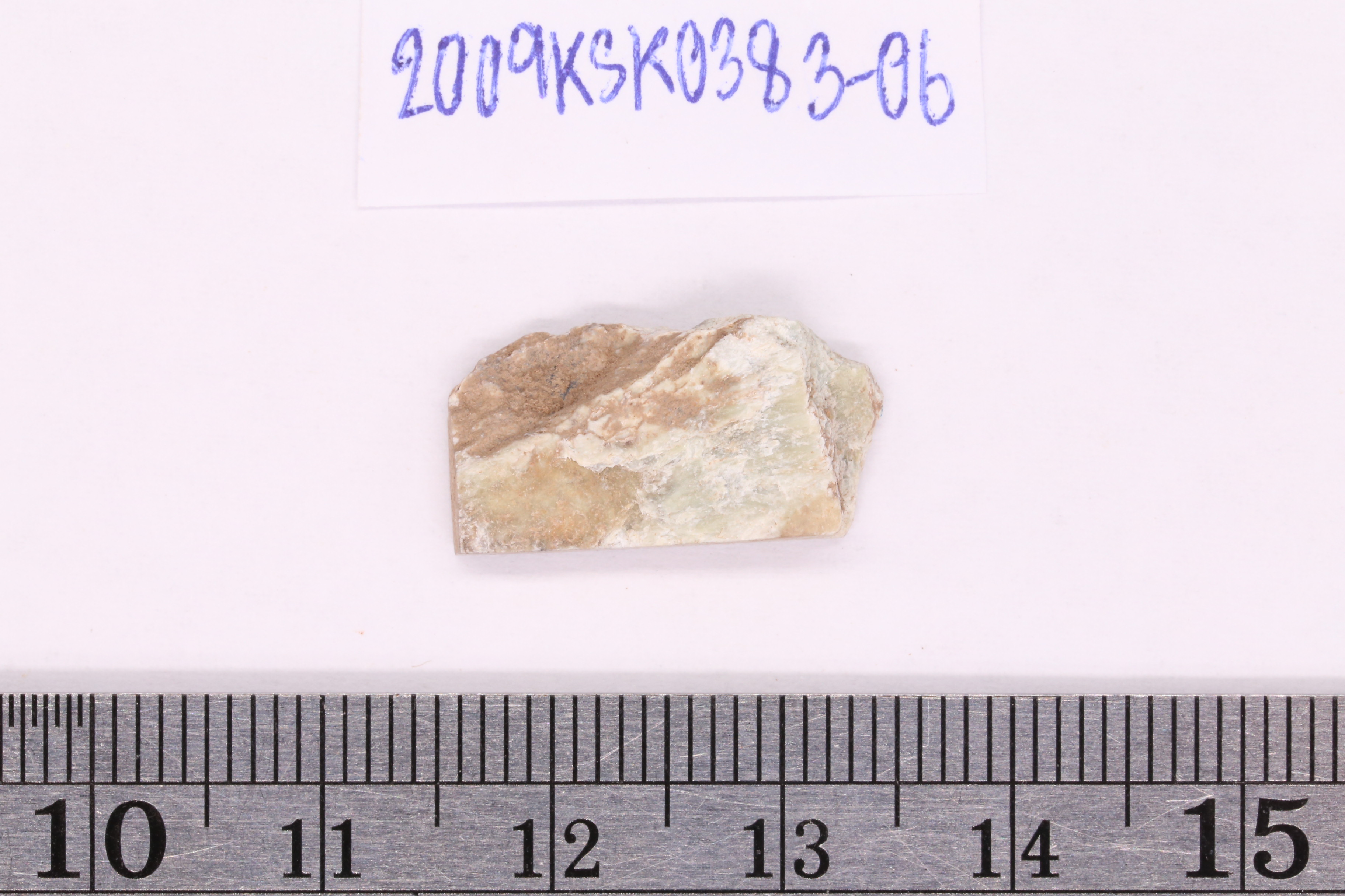 IMG_1490.JPG