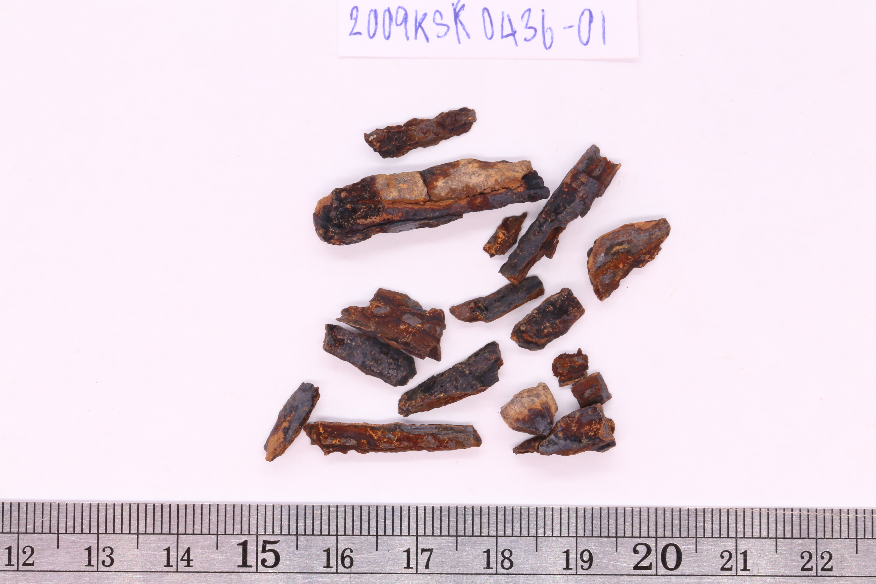 IMG_0814.JPG
