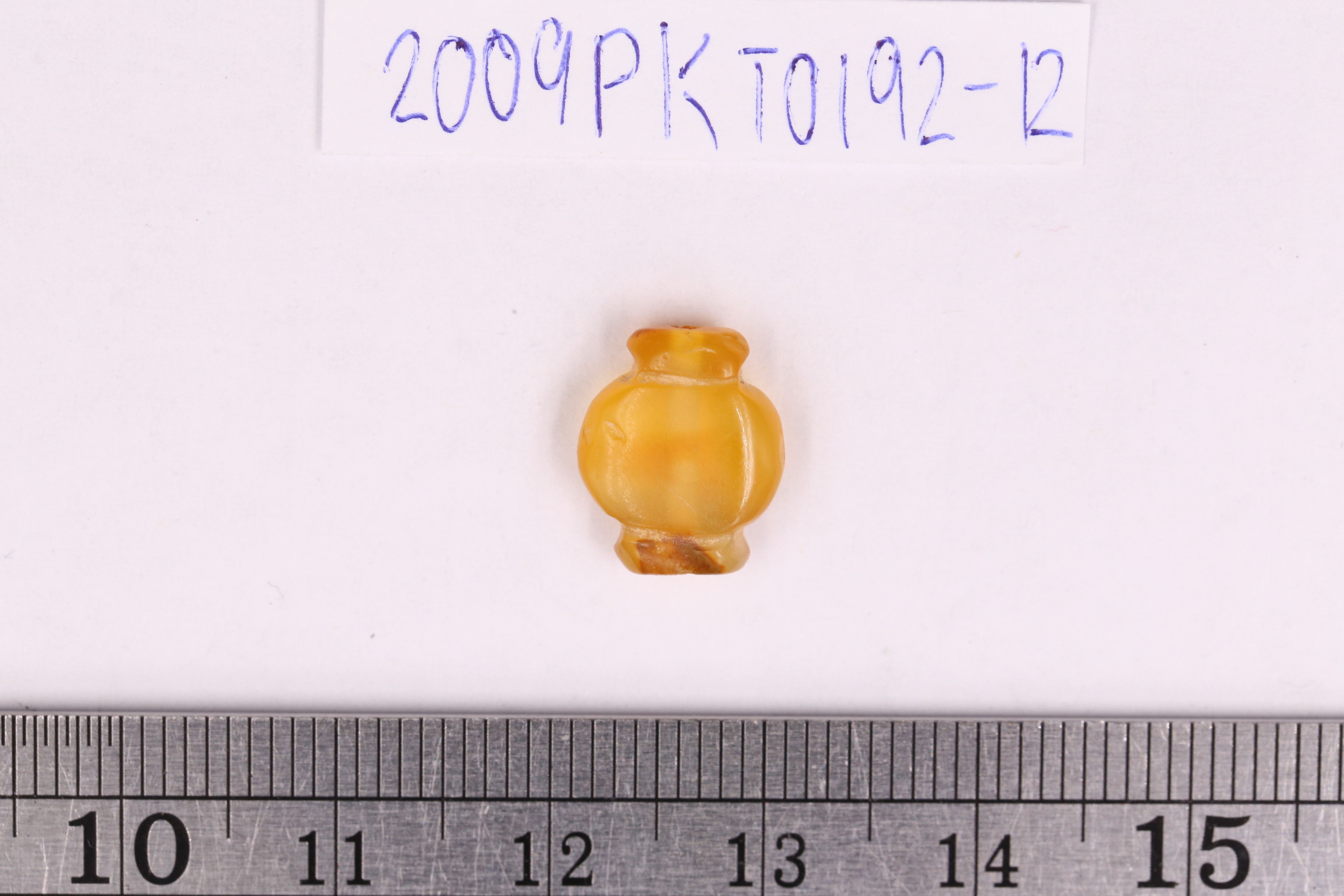 IMG_4453.JPG