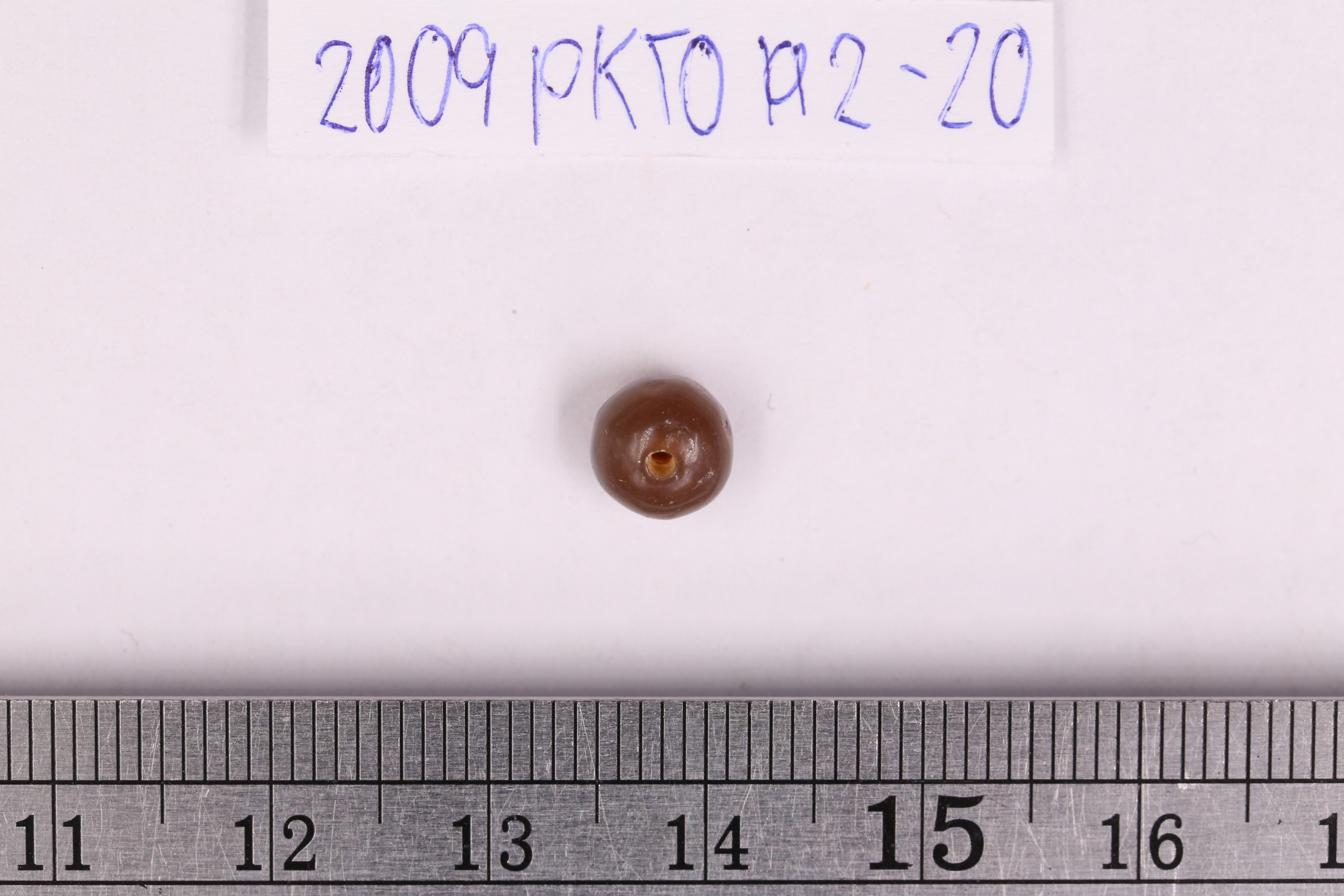 IMG_4492.JPG