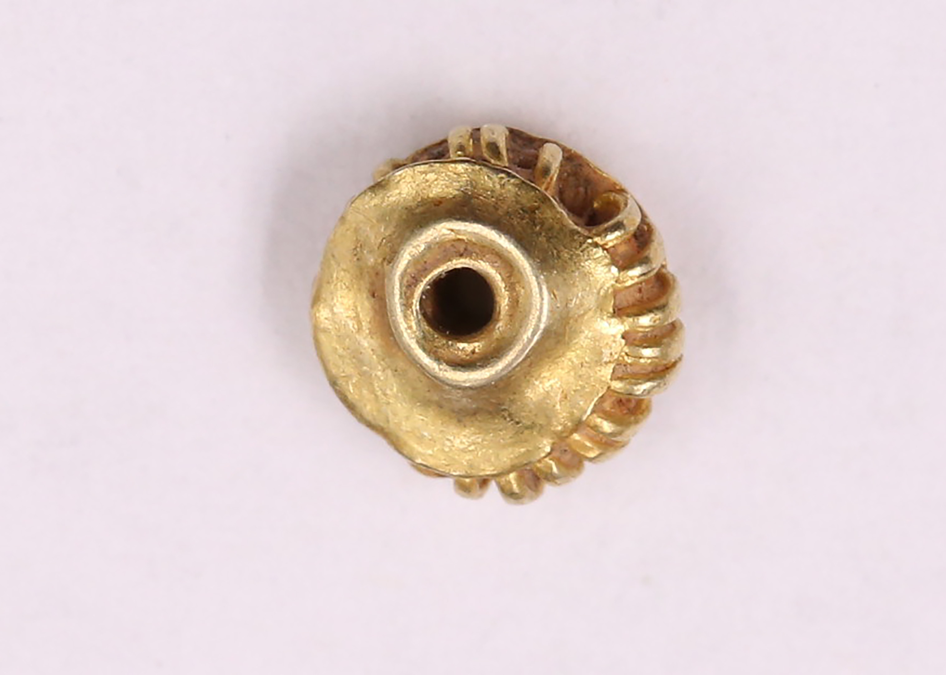 AIMG_4515.jpg