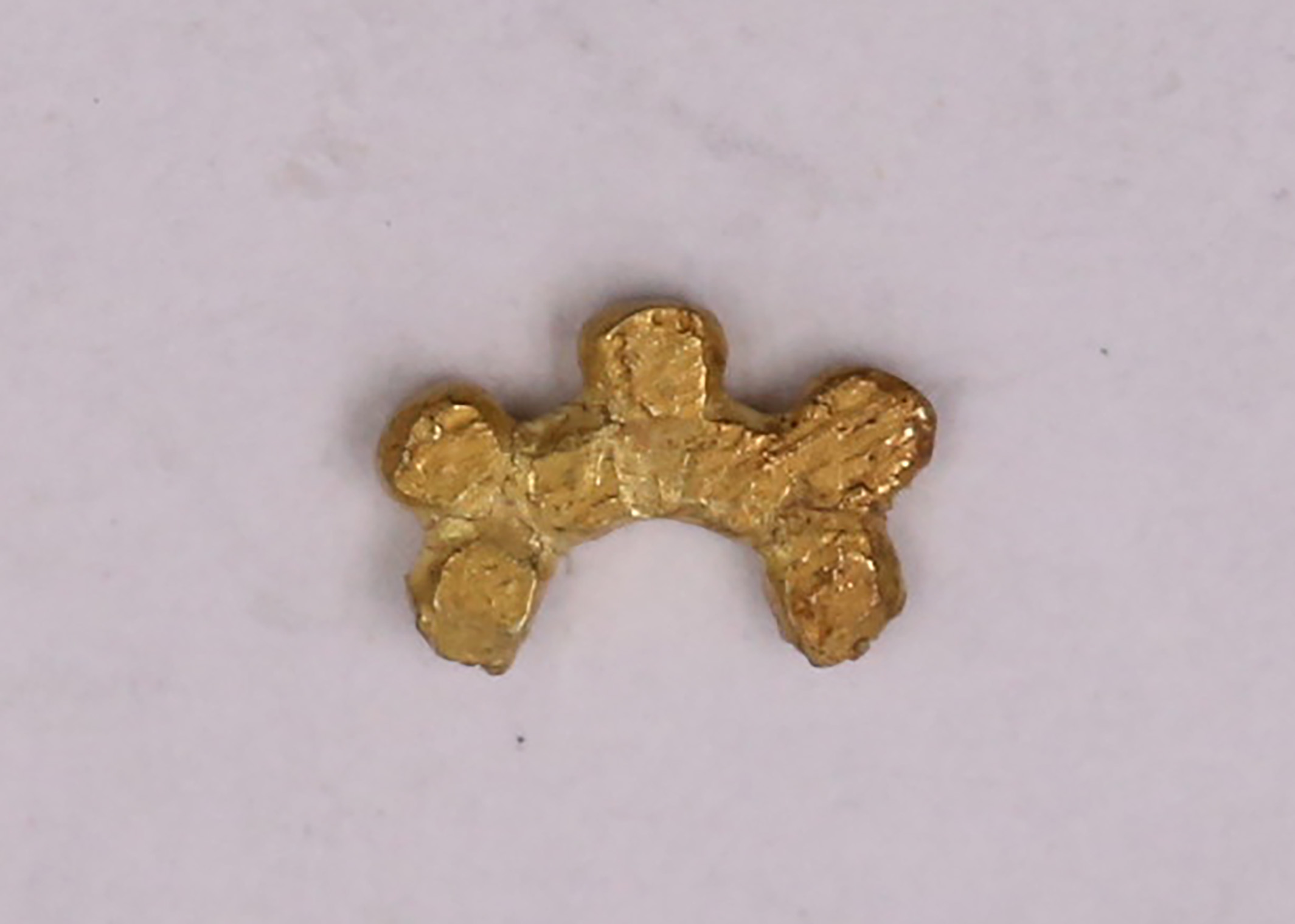 AIMG_4217.jpg