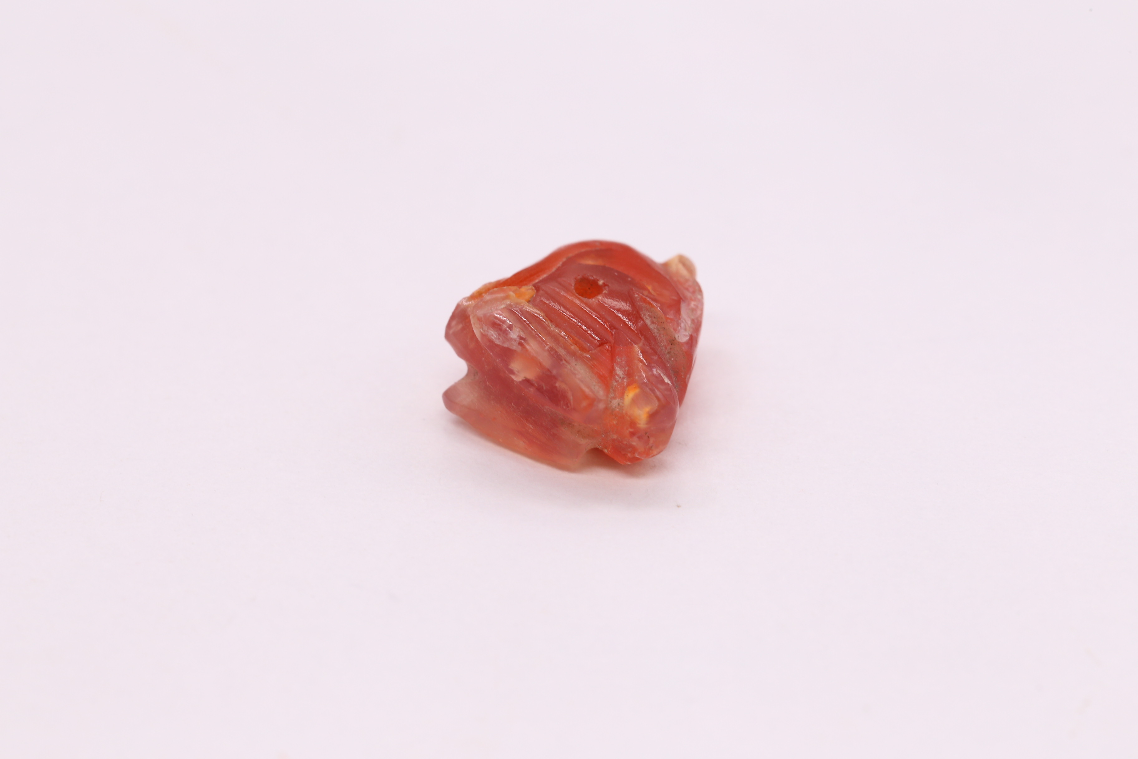 IMG_5691.JPG