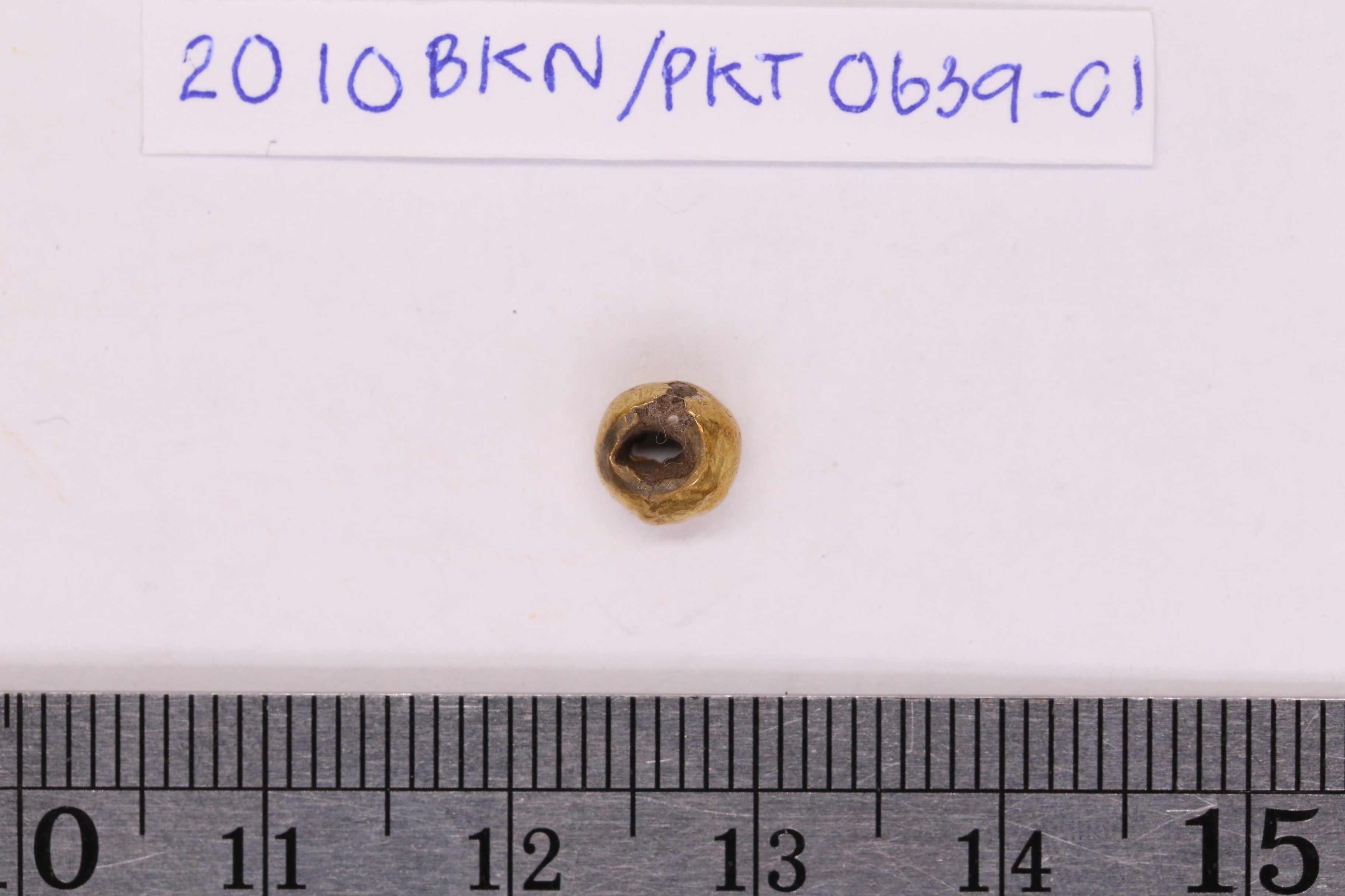 2010BKN0639-01.3.JPG