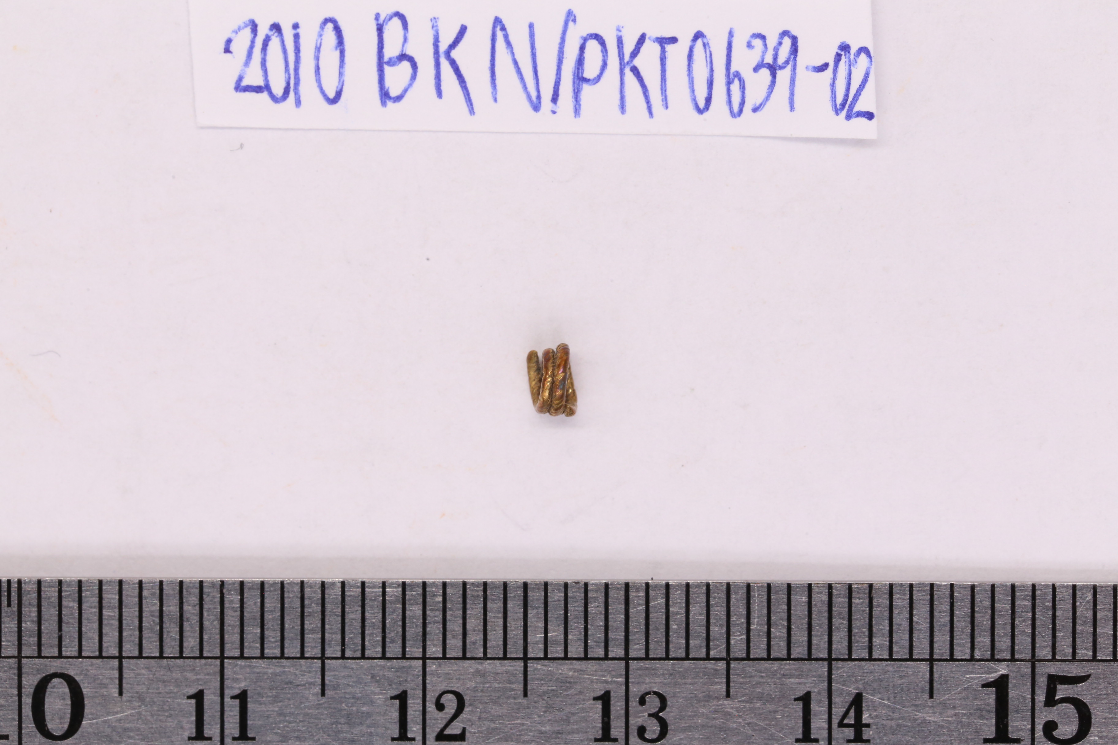 2010BKN0639-02.1.JPG
