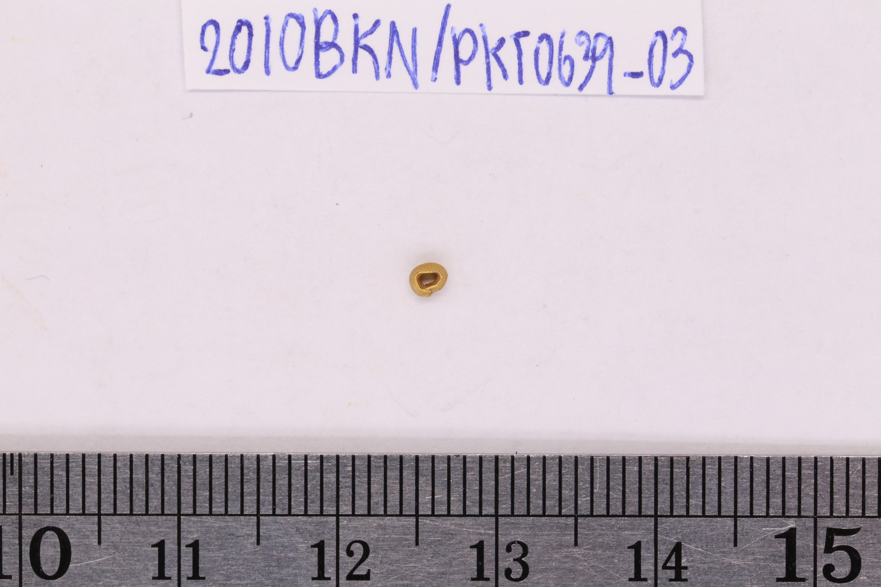 2010BKN0639-03.1.JPG