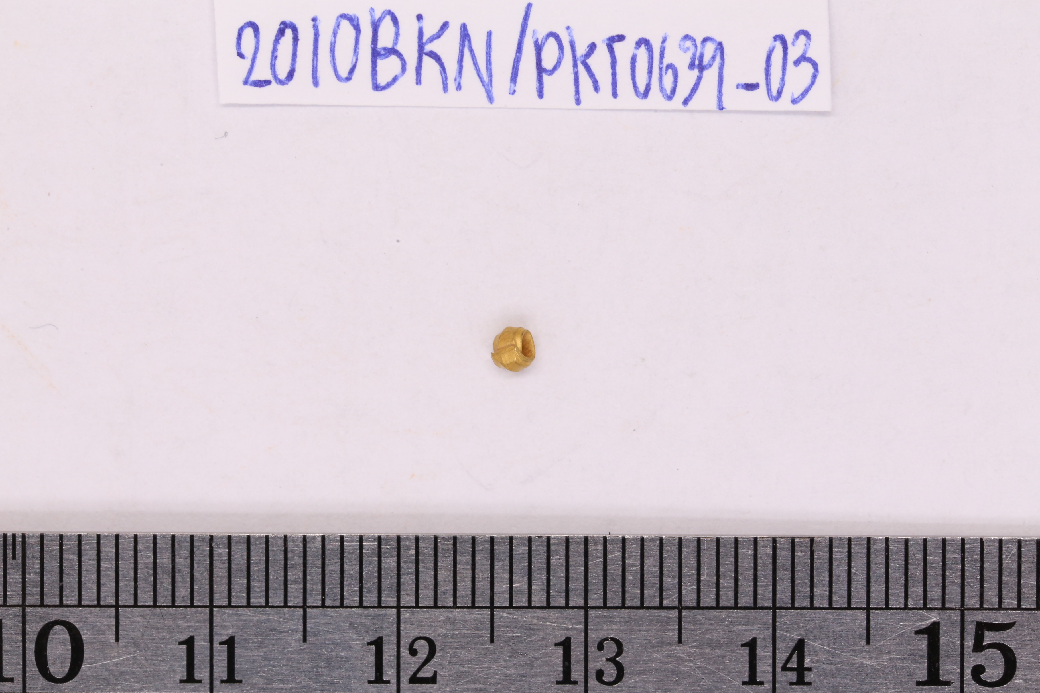 2010BKN0639-03.2.JPG