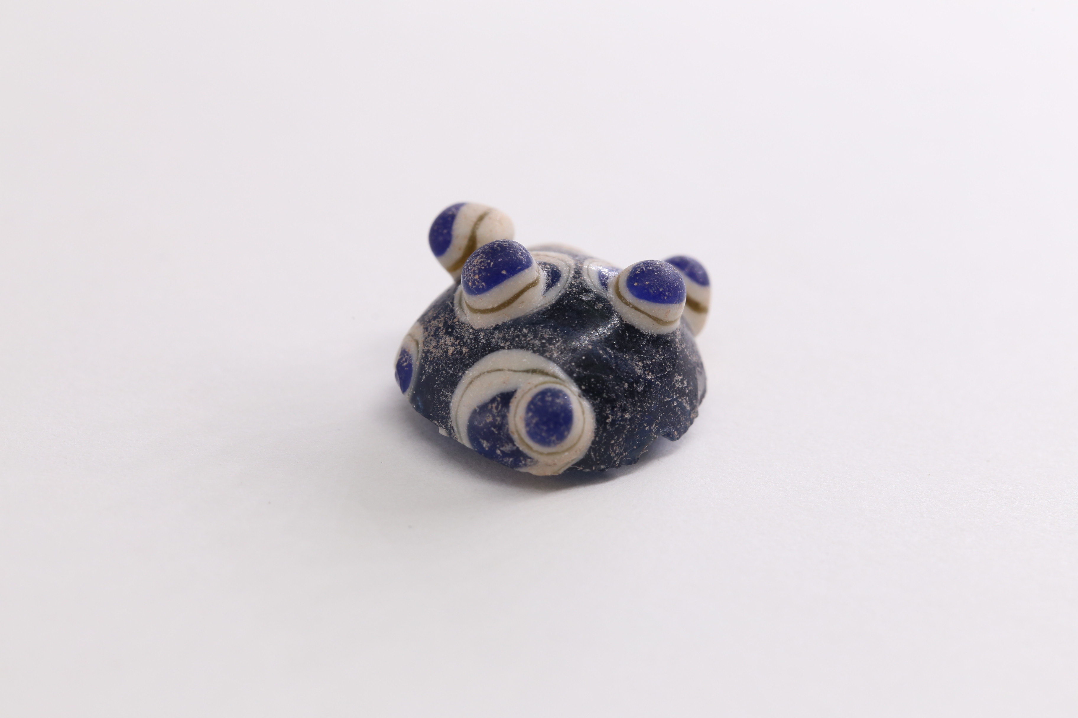 IMG_7397.JPG