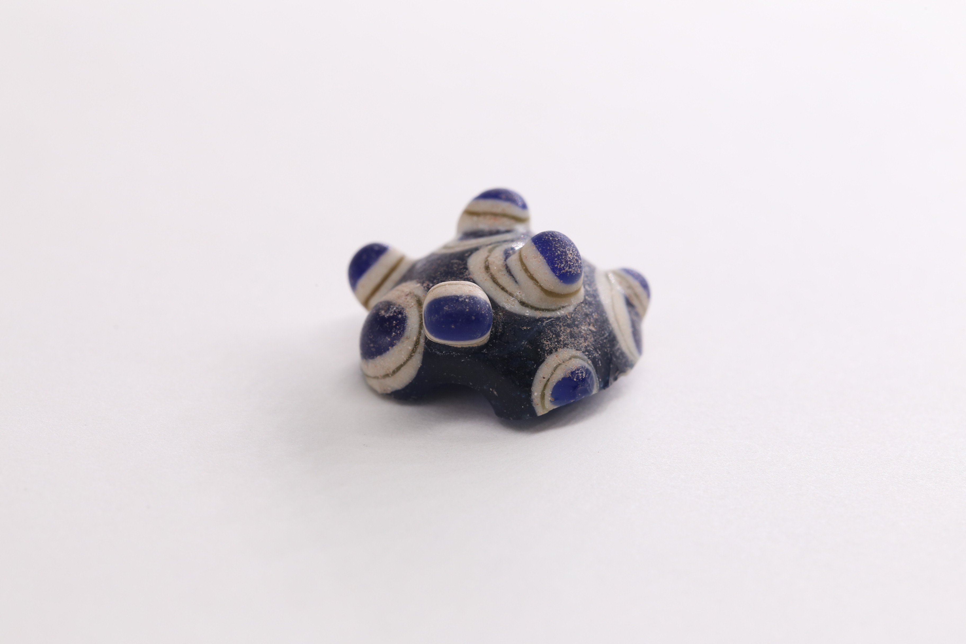 IMG_7398.JPG