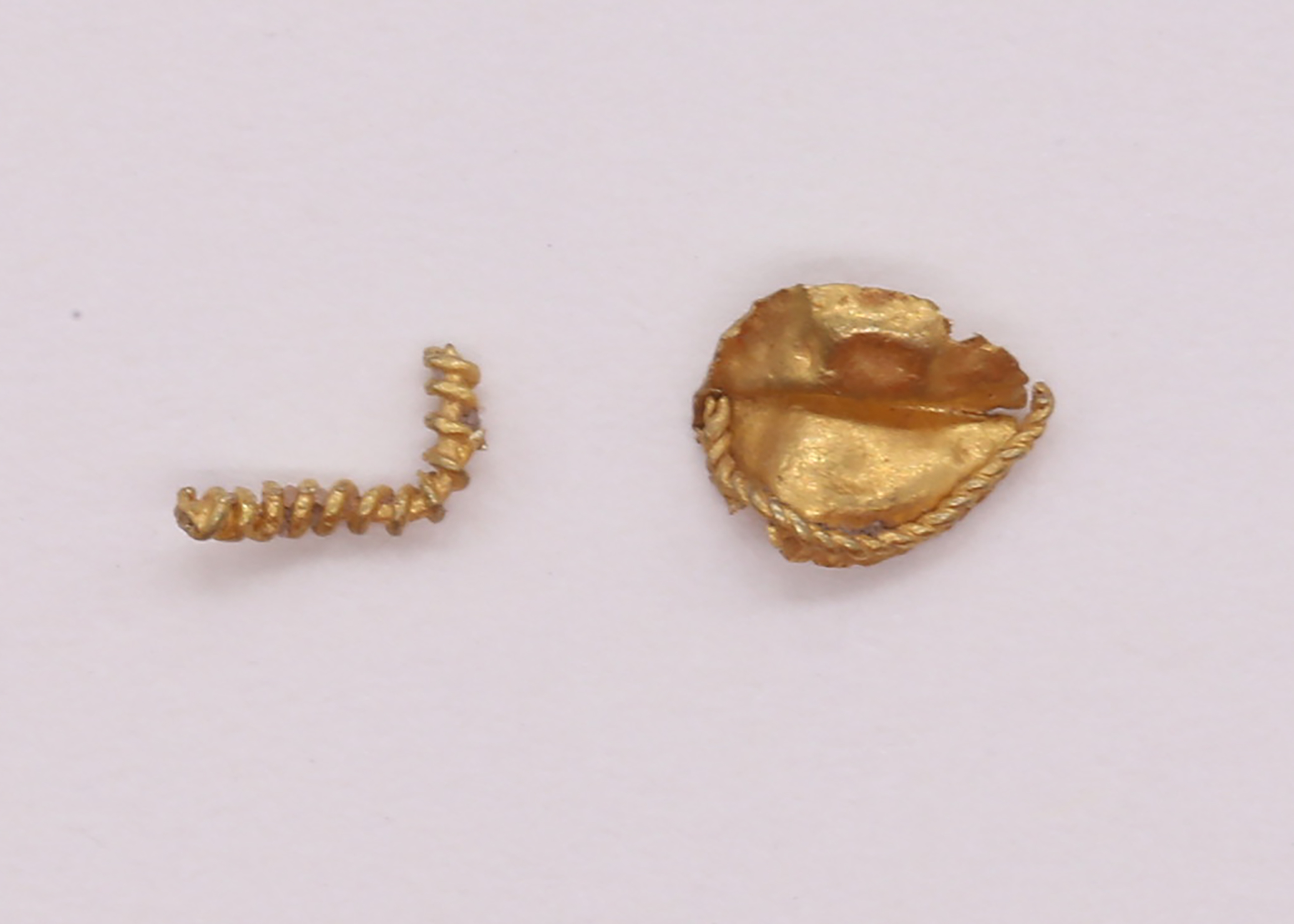 AIMG_6471.jpg