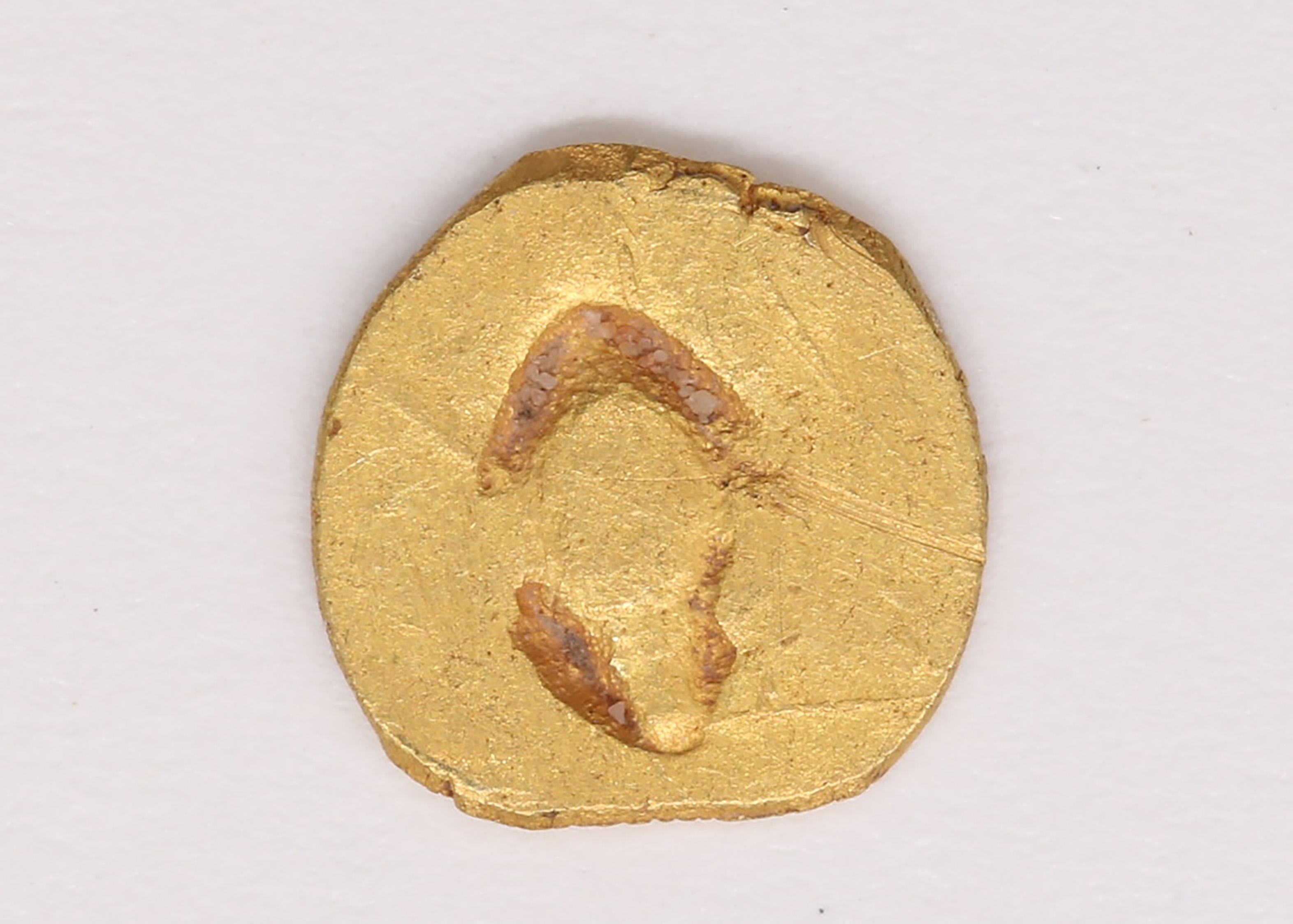 AIMG_6722.jpg