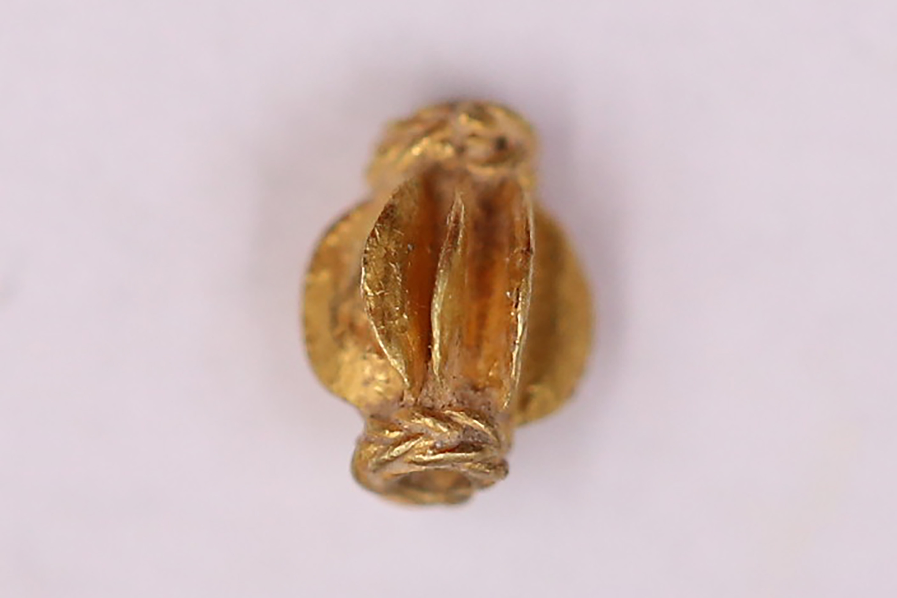 AIMG_3611.jpg