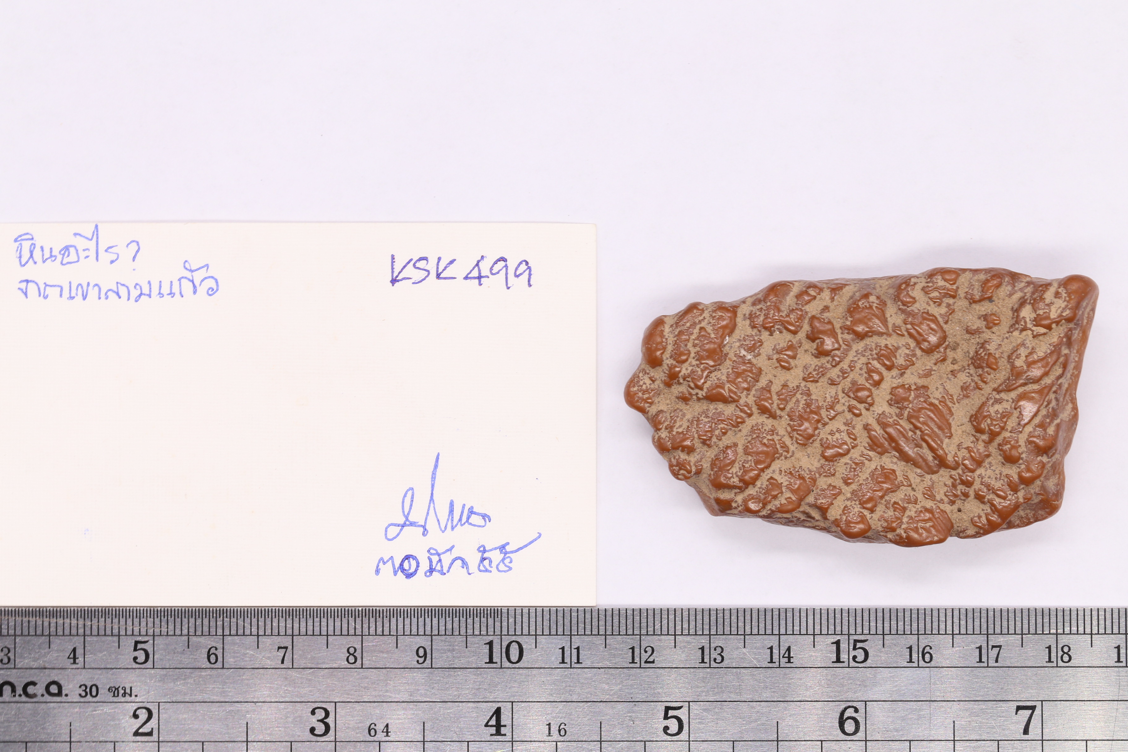 IMG_1853.JPG