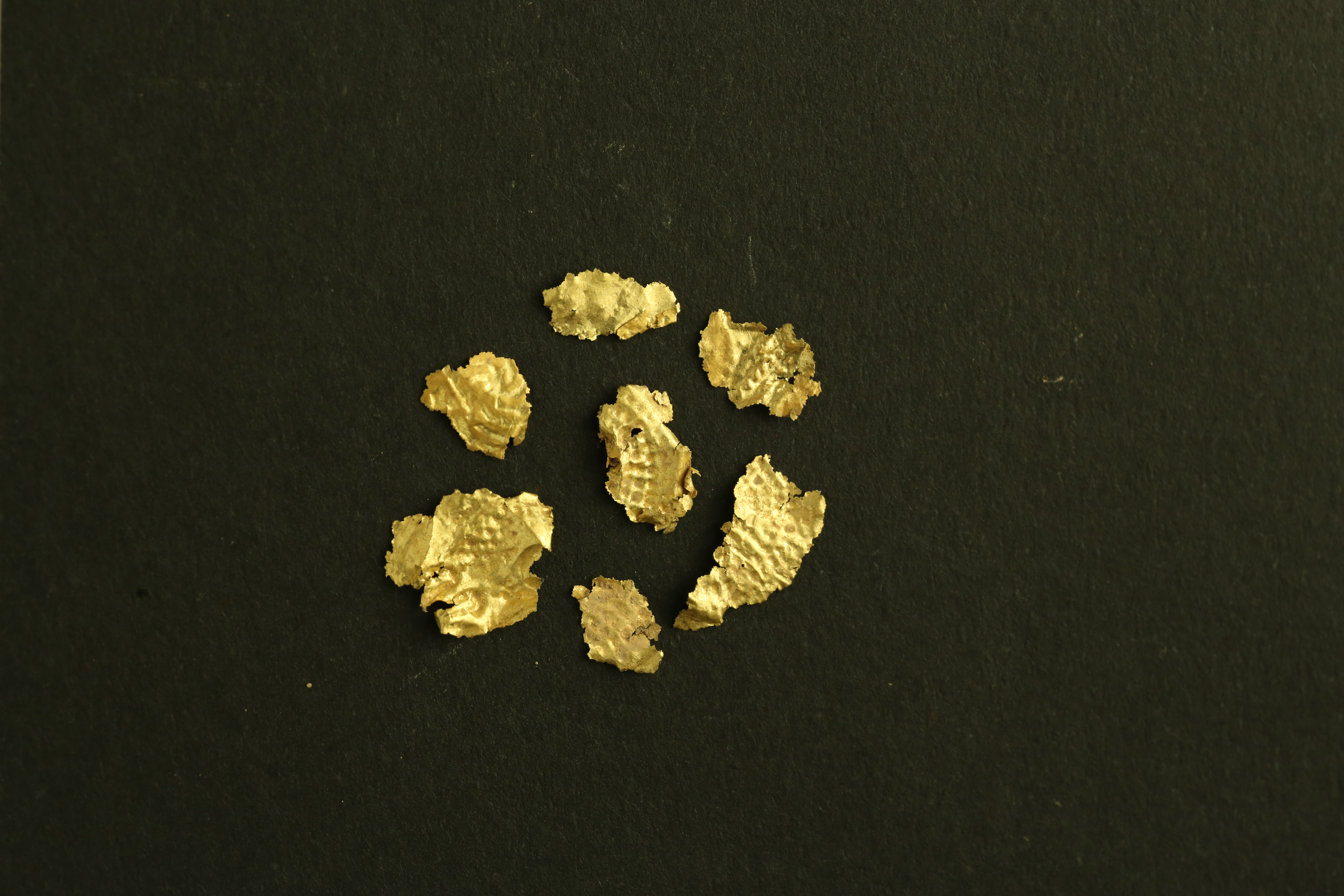 B_013268.JPG