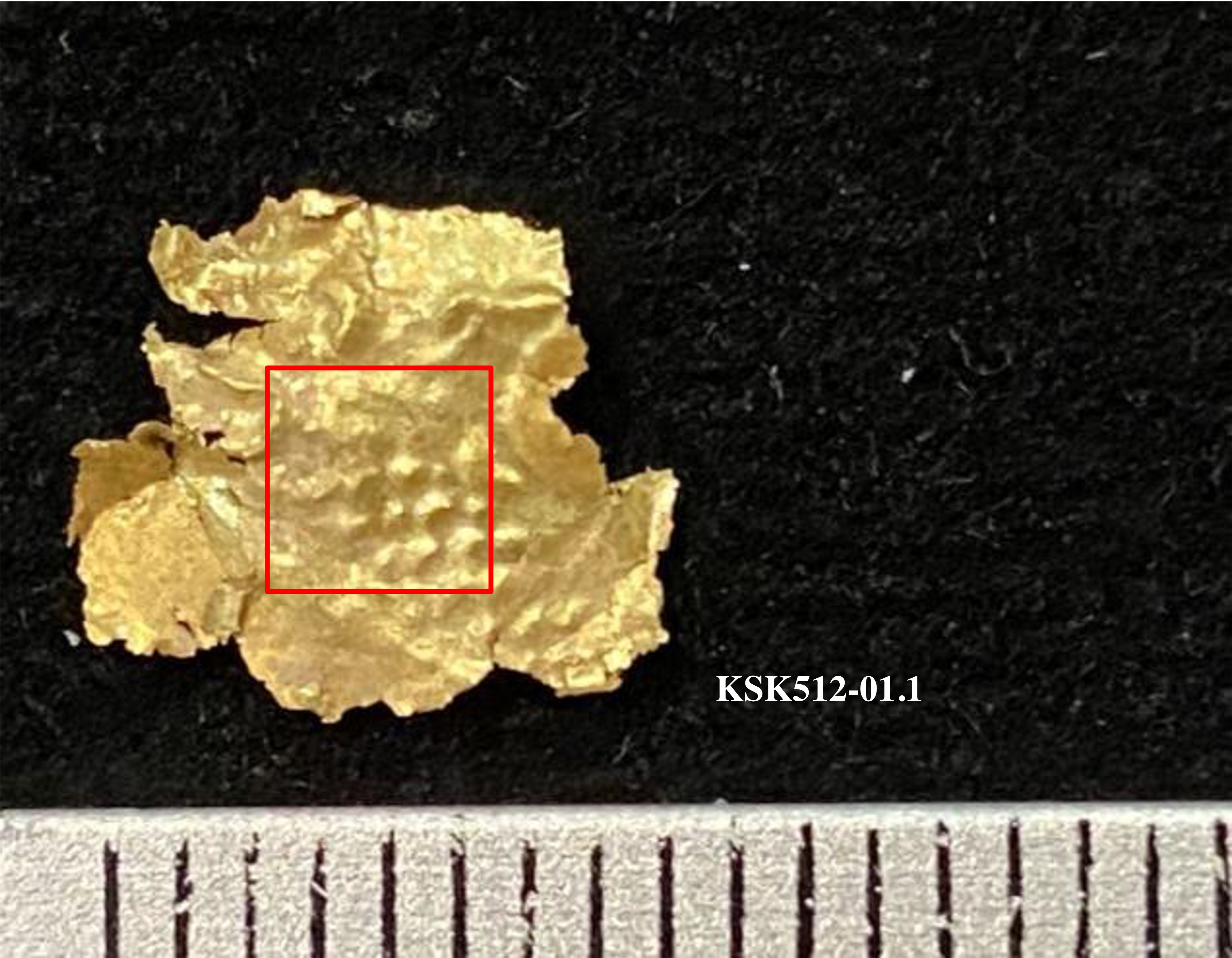 KSK512.jpg