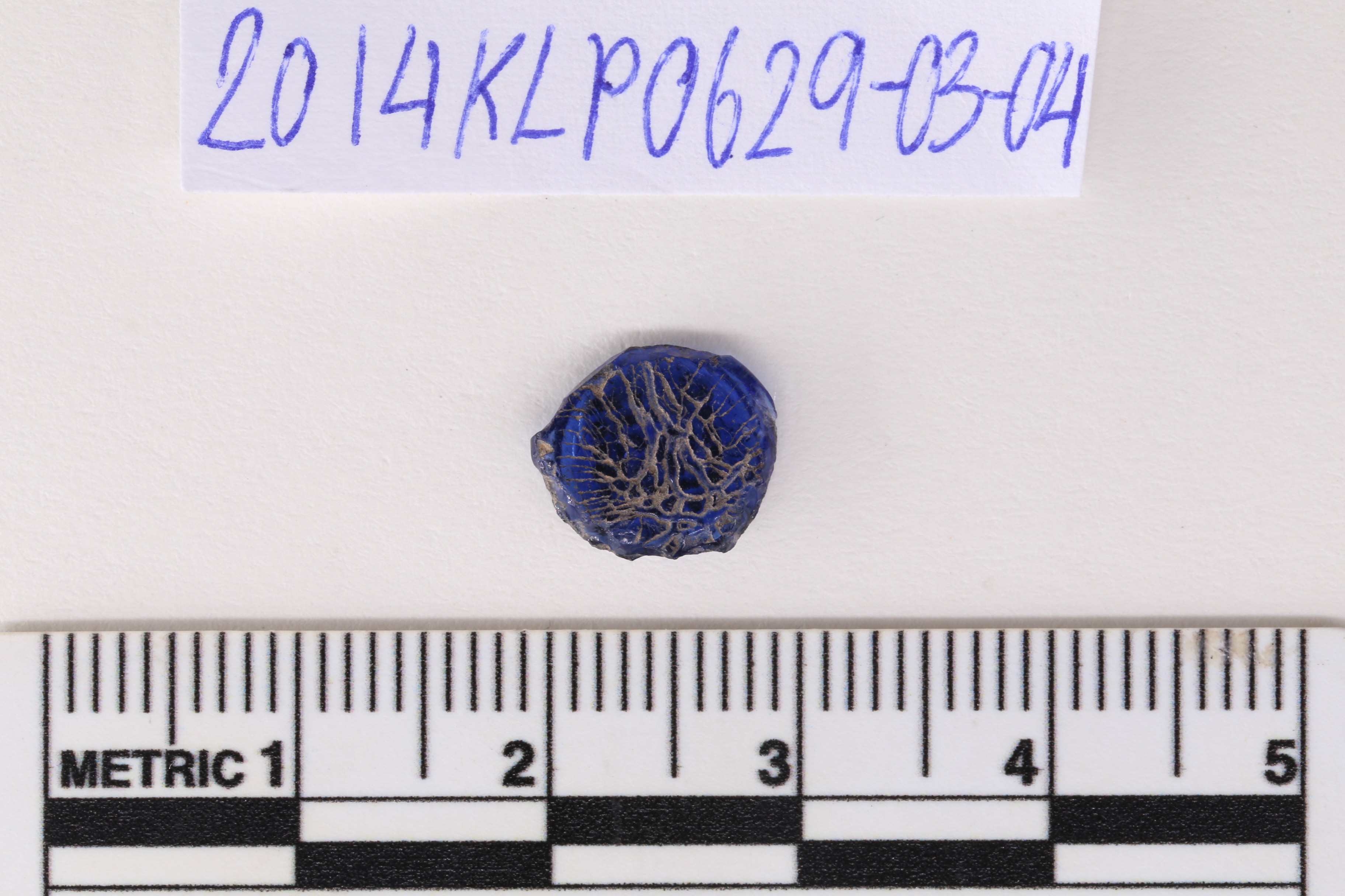IMG_7339.JPG