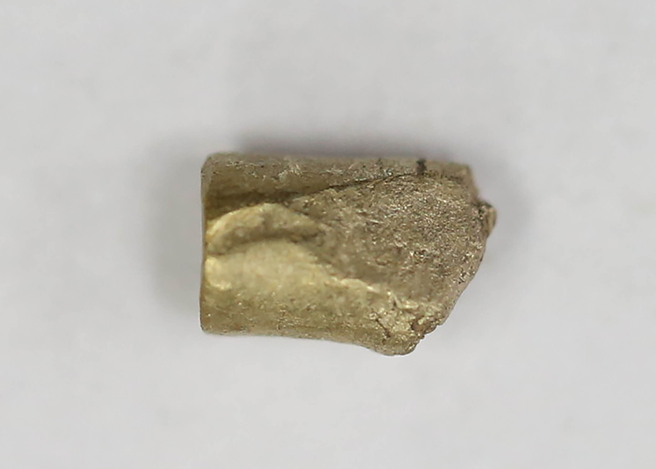 AIMG_2708.jpg