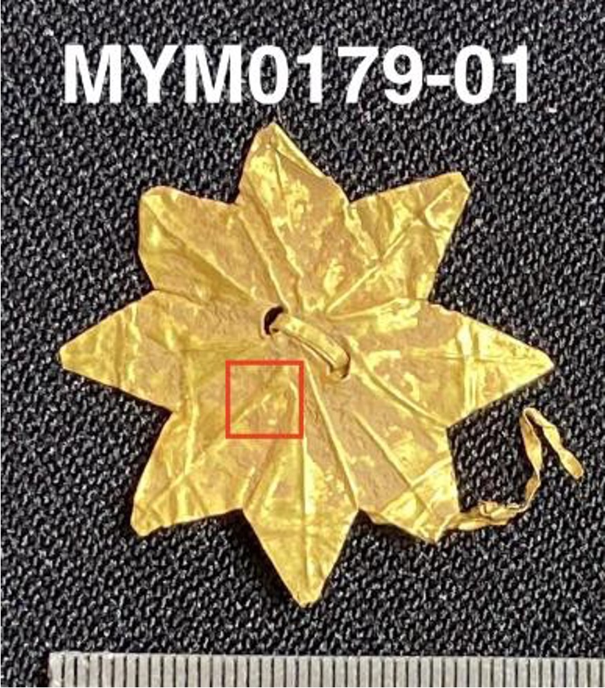 MYM179-01.jpg